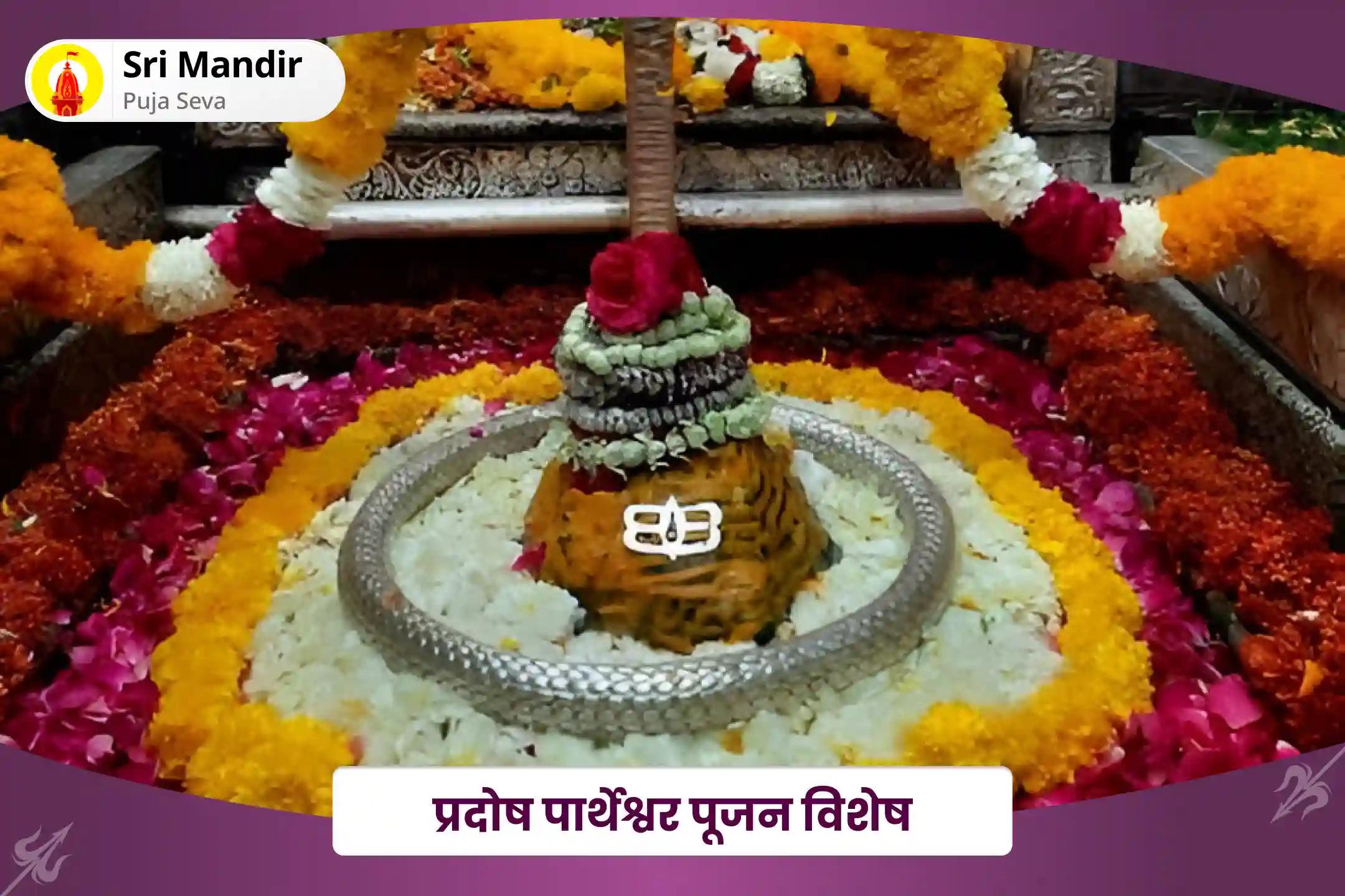 आर्दश जीवनसाथी एवं रिश्तों में आनंद प्राप्ति के लिए प्रदोष पार्थेश्वर पूजन विशेष 1100 शिवलिंग प्राणप्रतिष्ठा पार्थेश्वर पूजन एवं नर्मदा विसर्जन