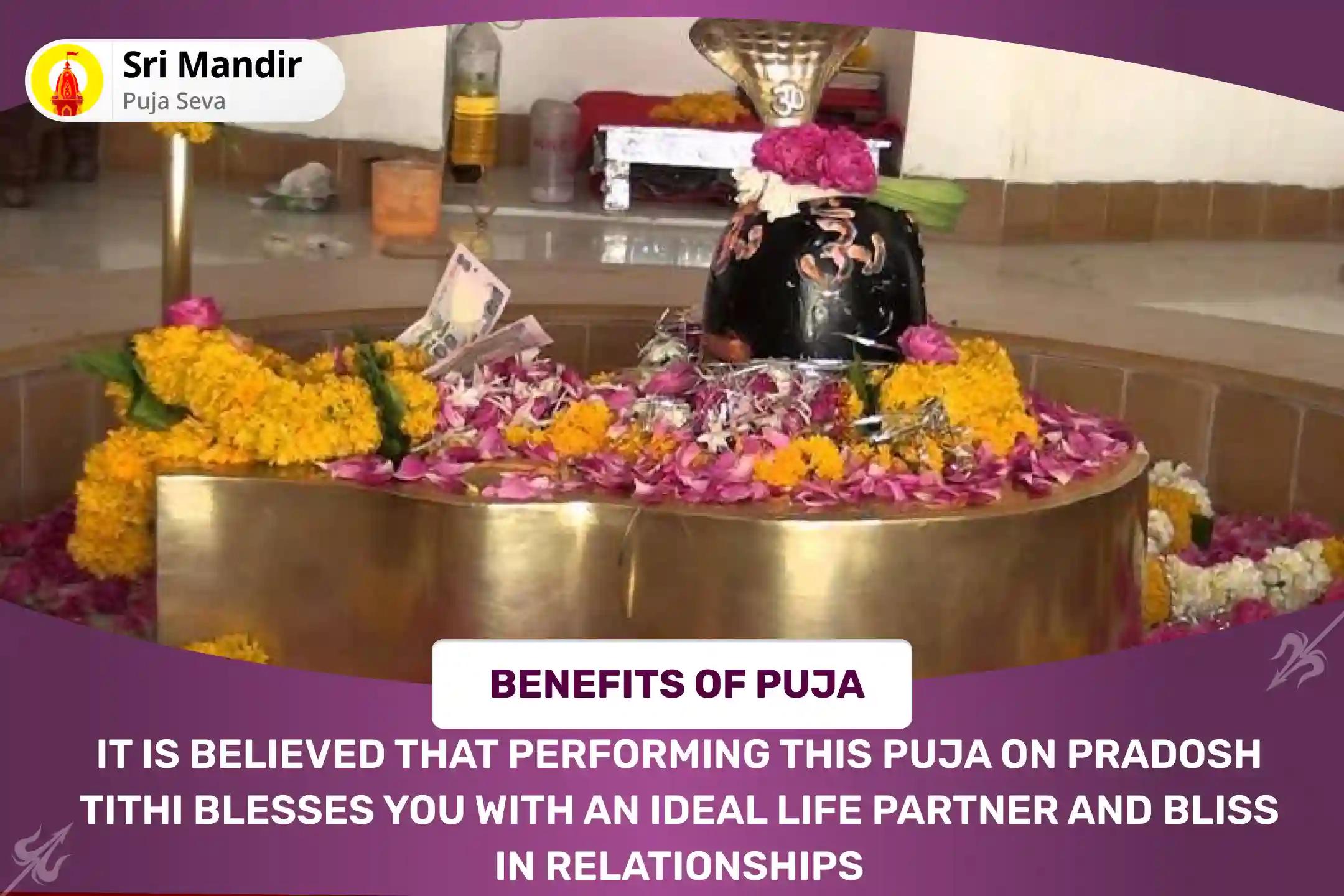 Pradosh Partheshwar Pujan Special 1100 Shivlinga Pranpratishtha Partheshwar Pujan and Narmada Visarjan For blessing of Ideal Partner and Bliss in Relationship