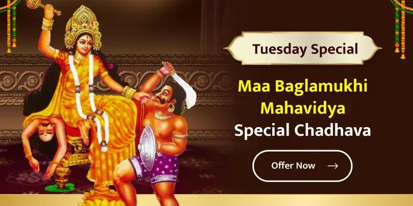 At Maa Baglamukhi Temple, Ujjain, offer Chadhava to Devi Maa on Tuesday!