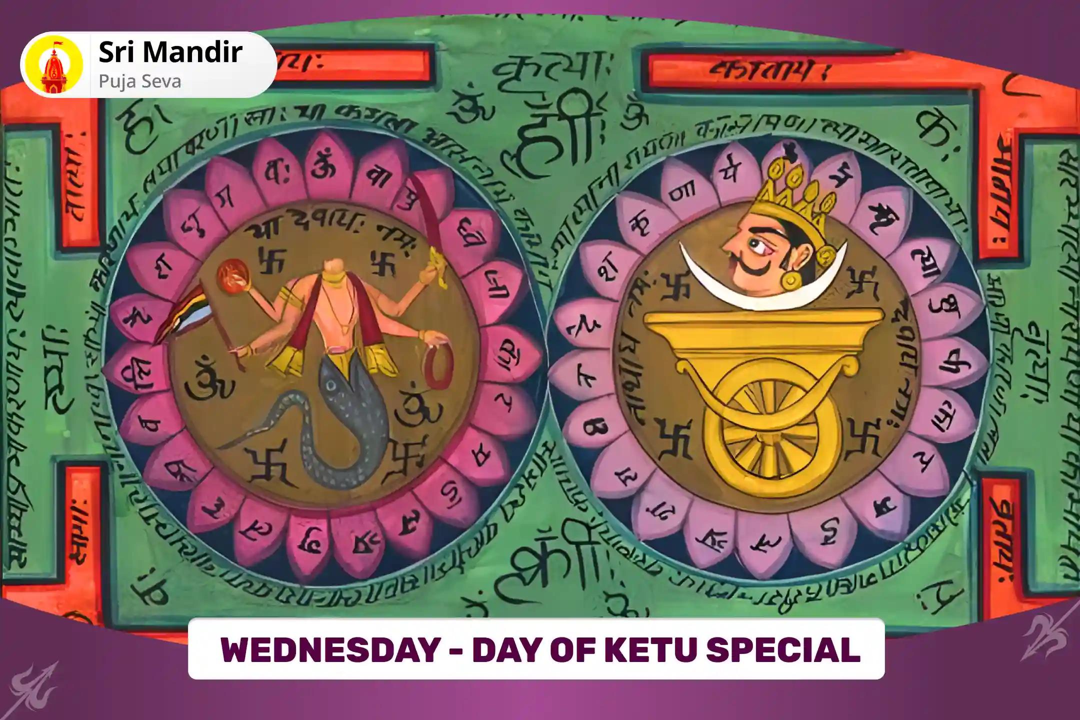 Wednesday - Day of Ketu Special Rahu-Ketu Peeda Shanti Puja and Shiv Rudrabishek To get Blessing for Mental clarity and Improved Decision-Making