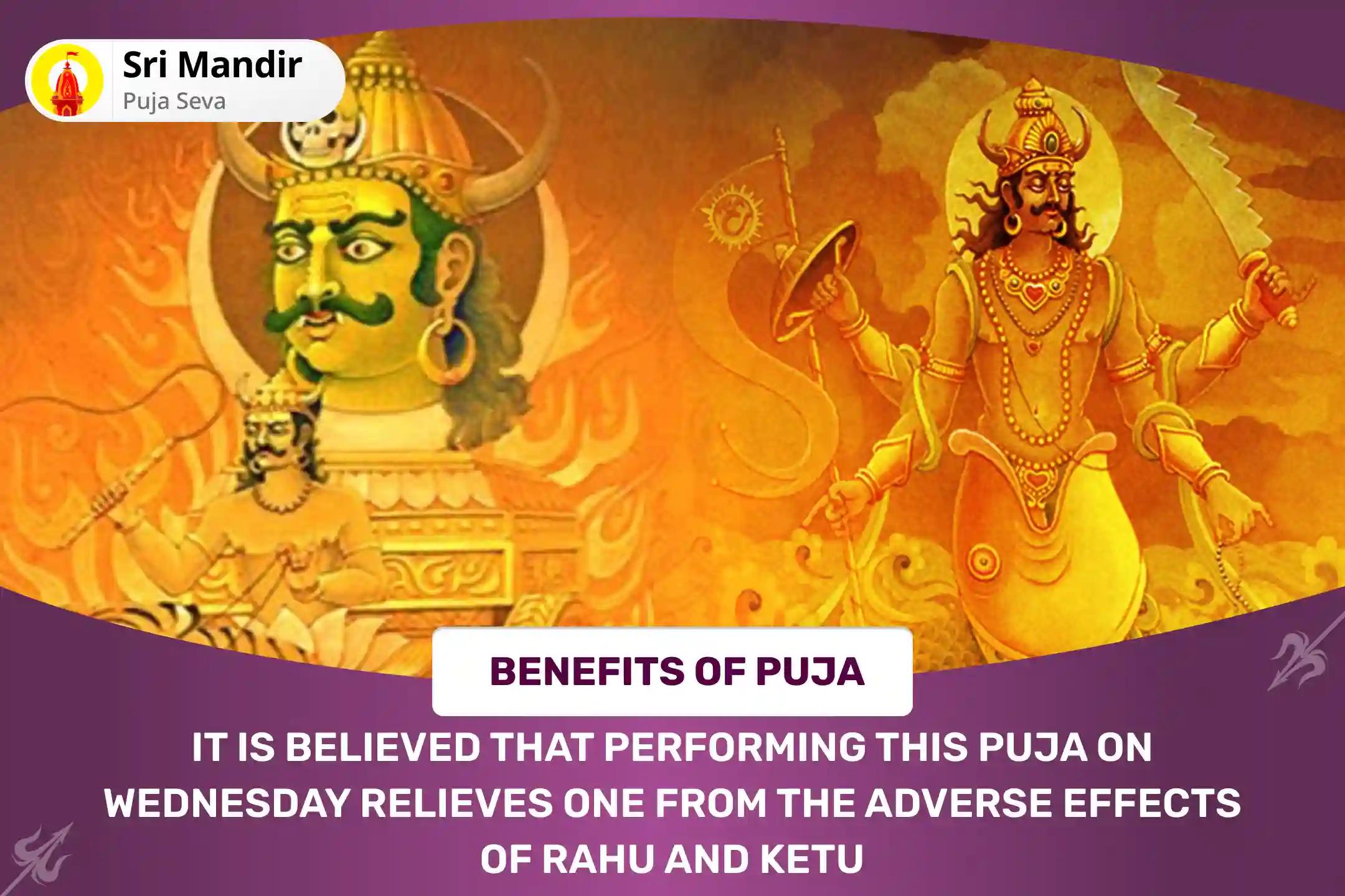 Wednesday - Day of Ketu Special Rahu-Ketu Peeda Shanti Puja and Shiv Rudrabishek To get Blessing for Mental clarity and Improved Decision-Making