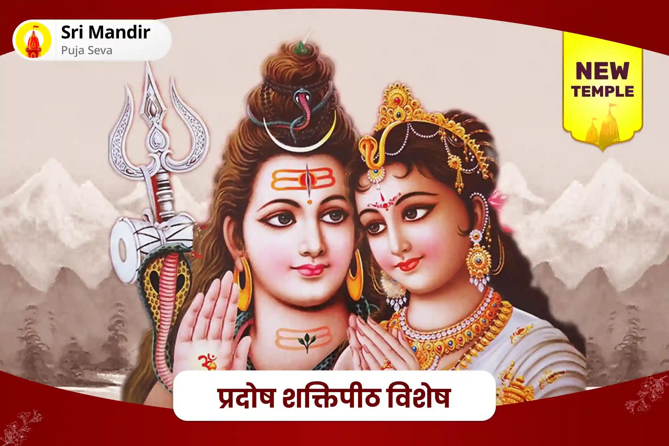 आदर्श जीवनसाथी और रिश्ते में आनंद पाने के लिए प्रदोष शक्तिपीठ विशेष शिव-गौरी पूजन, चंडी पाठ और हवन 