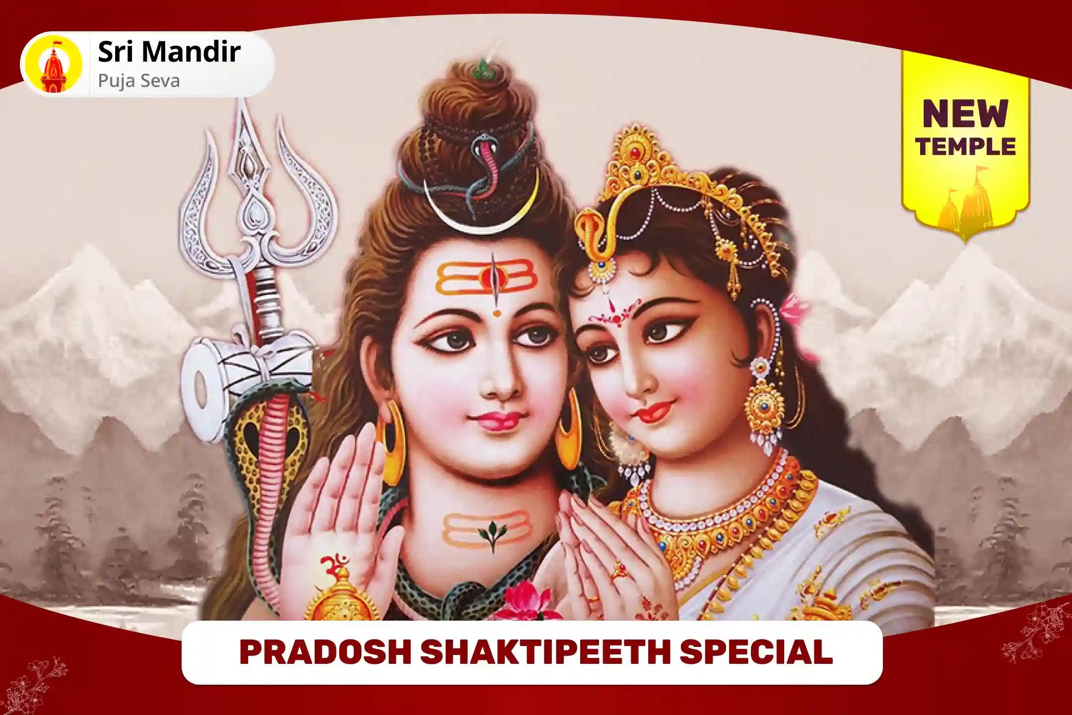 Pradosh Shaktipeeth Special Shiv-Gauri Pujan, Chandi Path and Havan To find Ideal Partner and Relationship Bliss