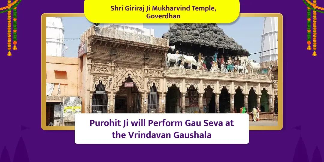 Radhashtami Special Gau Seva, Shri Giriraj Mukharvind Temple