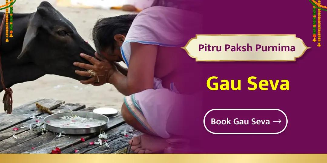 Perform Gau Seva in Mathura today on Pitru Paksha Purnima Tithi! 