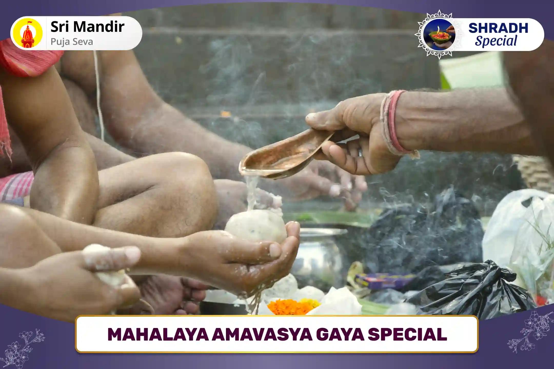 Mahalaya Amavasya Gaya Special Til Tarpan and Pind Daan for peace of ancestors' souls and resolving family disputes