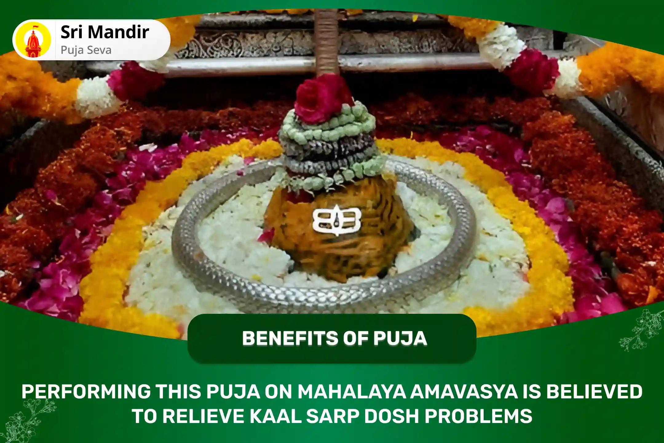 Mahalaya Amavasya Jyotirlinga Special Kaal Sarp Dosha Shanti Puja for Fearlessness and Achieving Mental Stability