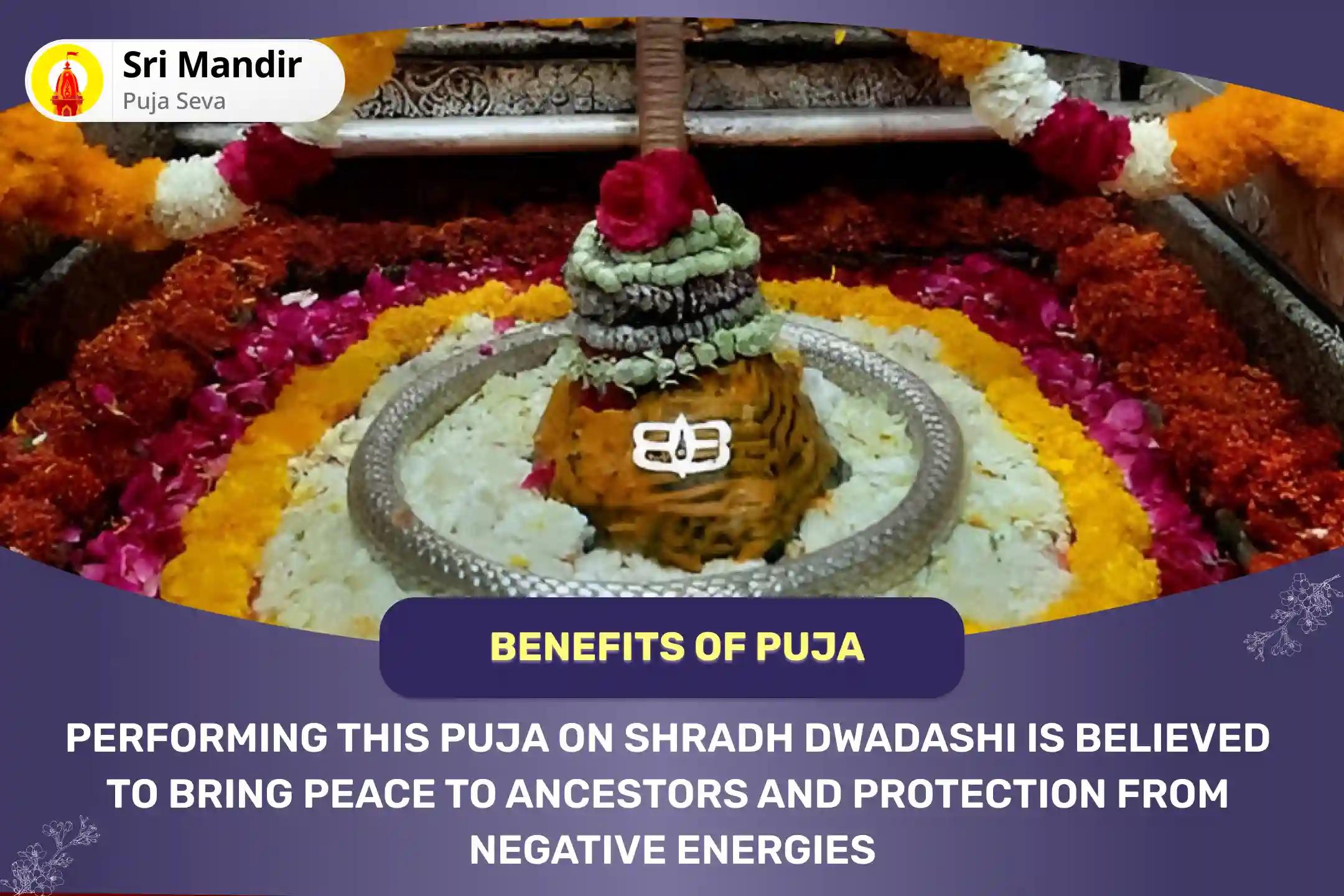 Shradh Dwadashi Omkareshwar and Narmada Ghat Combo Narayan Bali, Naag Bali and 11,000 Shiv Aghor Mantra Jaap for Peace of Departed Souls and Protection from Negative Energies