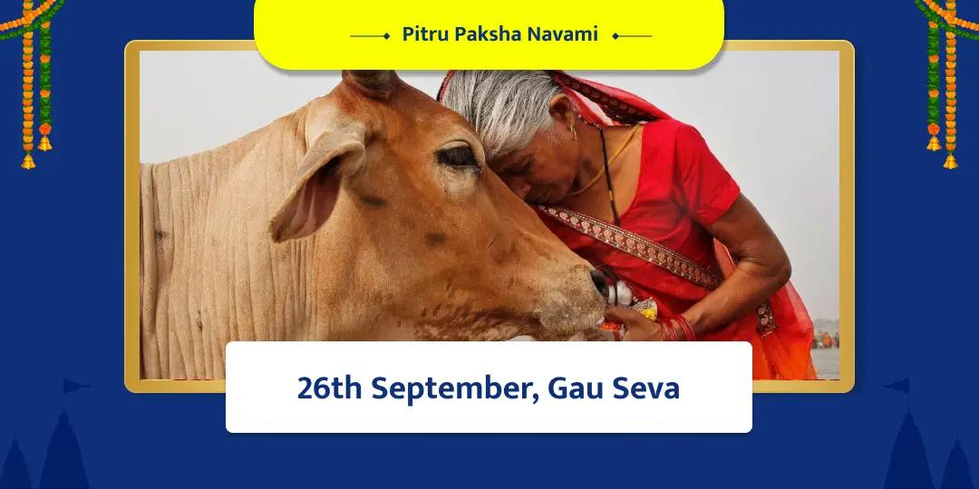 Gau Seva Mathura Pitru Paksha Navami 