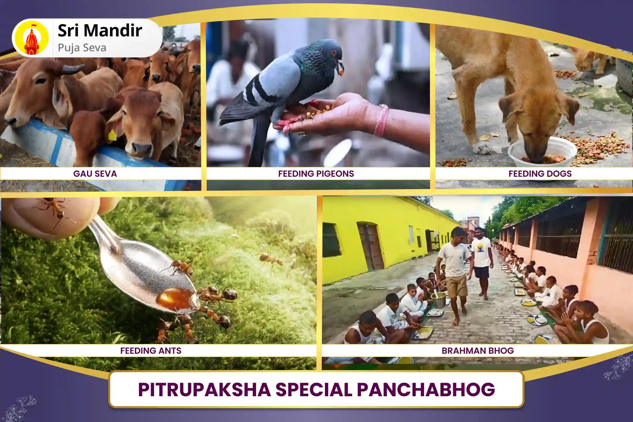 Shradh Trayodashi Triveni Sangam Special Pitru Dosh Shanti Mahapuja and Sandhya Kaaleen Ganga Aarti for Peace of Ancestor's souls and Resolving Family Disputes