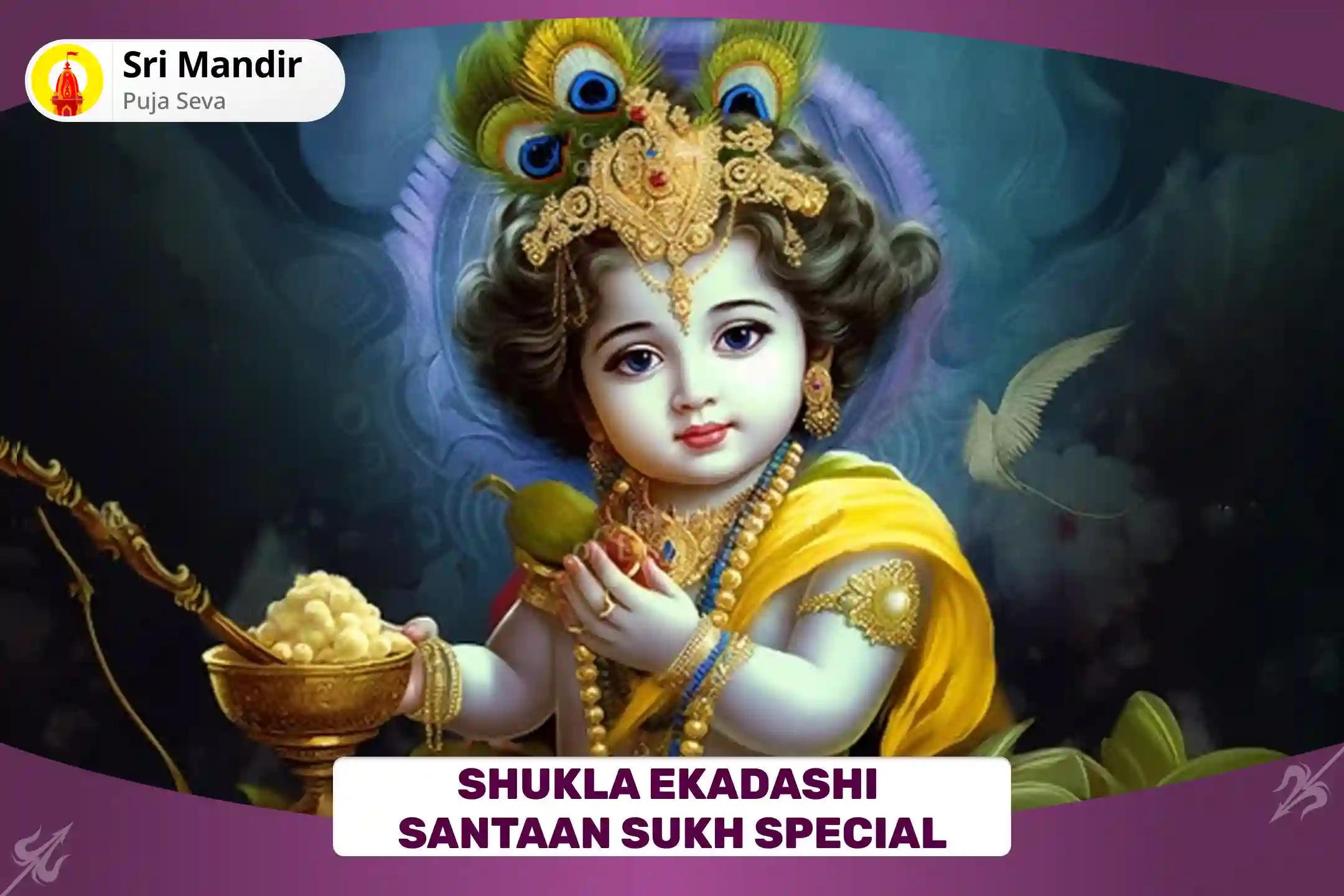 Shukla Ekadashi Santaan Sukh Special Putra Kameshti Havan for Blessings of Prosperity and Well-Being of your Children