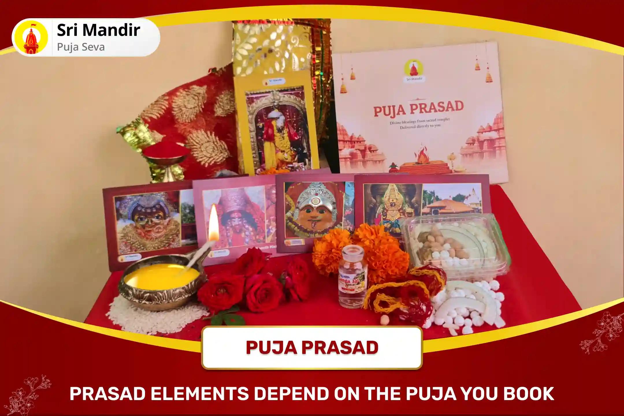 Raas Purnima Krishna Leela Shaktipeeth Special Krishna Shodashopachara Vandana and Maa Katyayani Shakti Homa for Blessings To Find Ideal Partner And Fulfillment Of All Desires