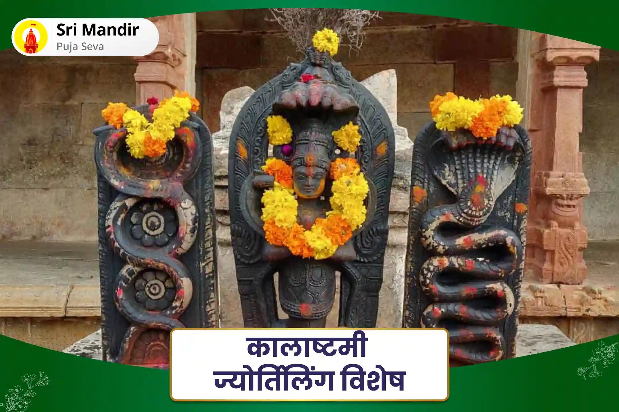 निर्भयता और मानसिक स्थिरता प्राप्त करने के लिए कालाष्टमी ज्योर्तिलिंग विशेष काल सर्प दोष शांति पूजा