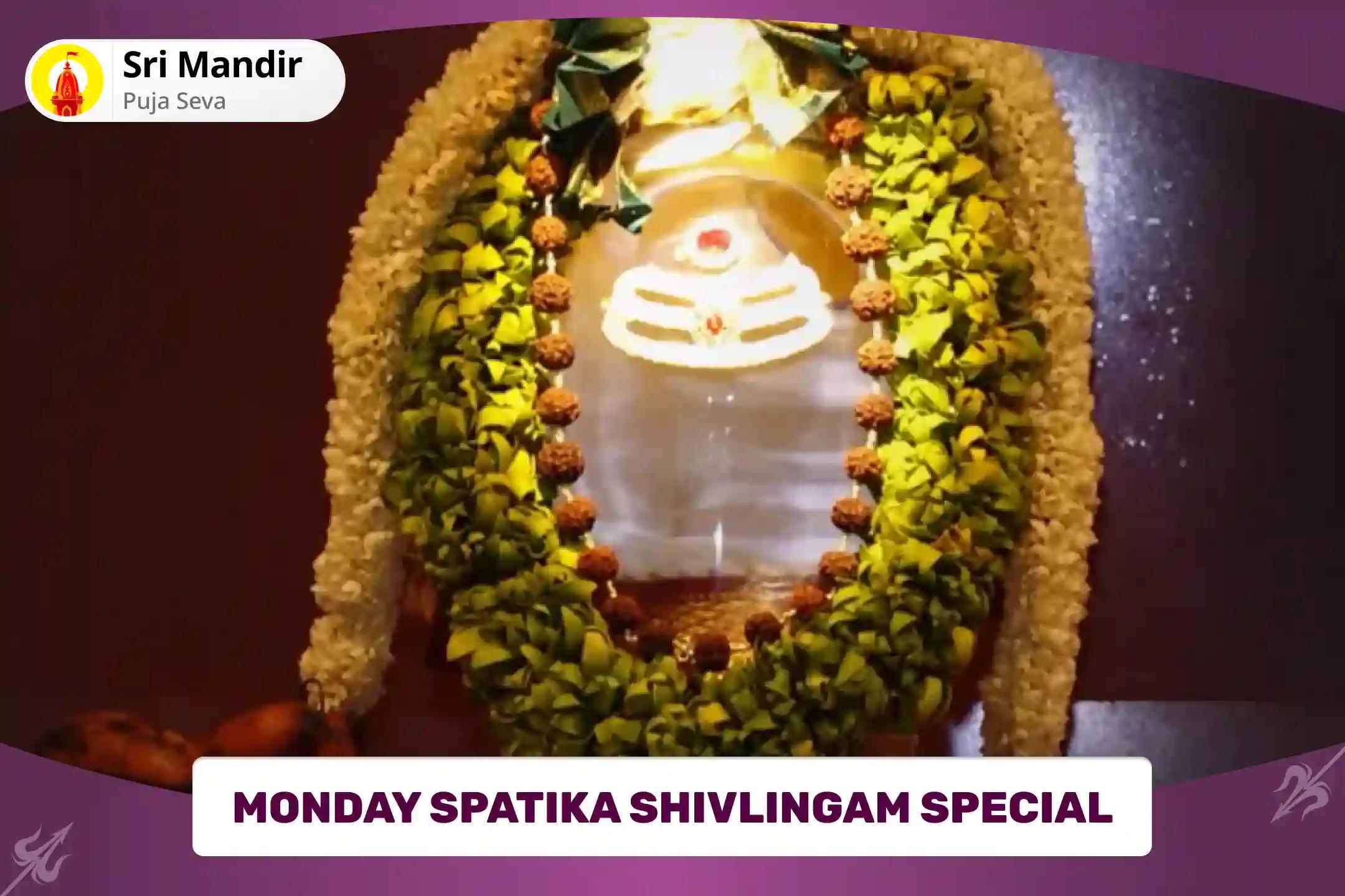 Monday Spatika Shivlingam Special Spatika Lingam Bhasma Abhishek and 1008 Shiva Sahasranama Rudraksha Archana for Blessing of Protection from Negative Energies and Ill-Health