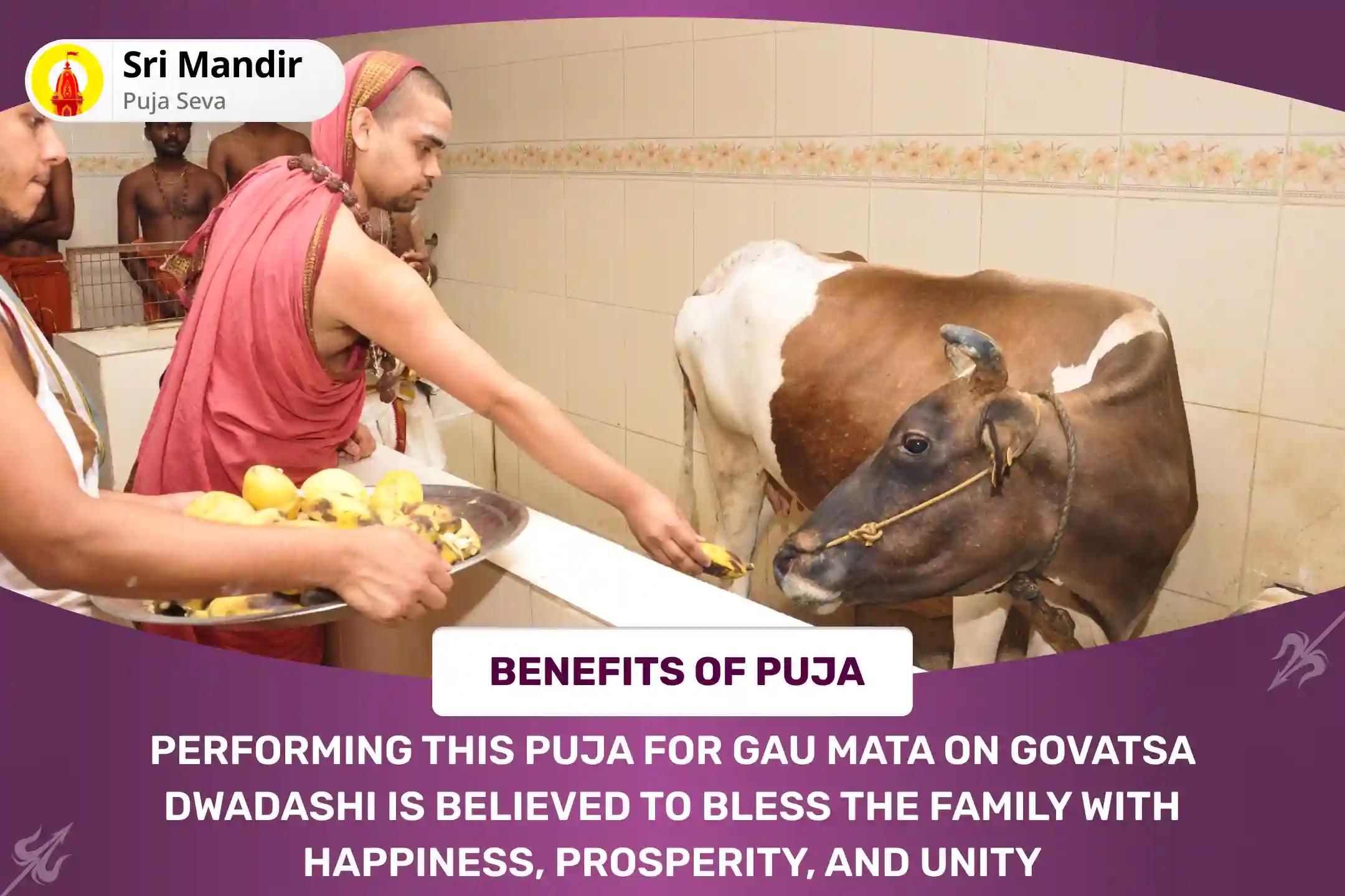 Govatsa Dwadashi Gau Pujan Special Gau Vatsalya Shodasha Pujan, Gau Alankara and Abhishek for Blessings of Prosperity and Unity in Family