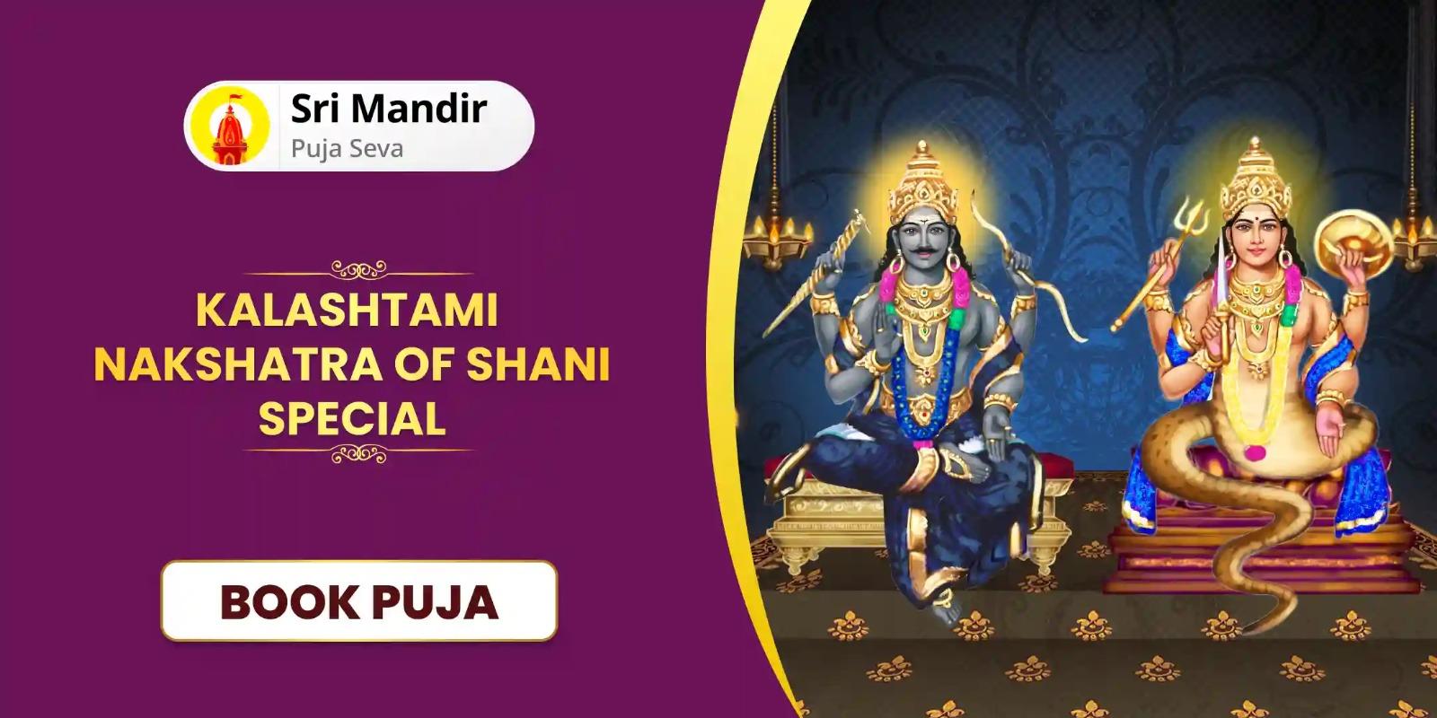 Rahu-Shani Shapit Dosh Shanti Havan and Til Tel Abhishek