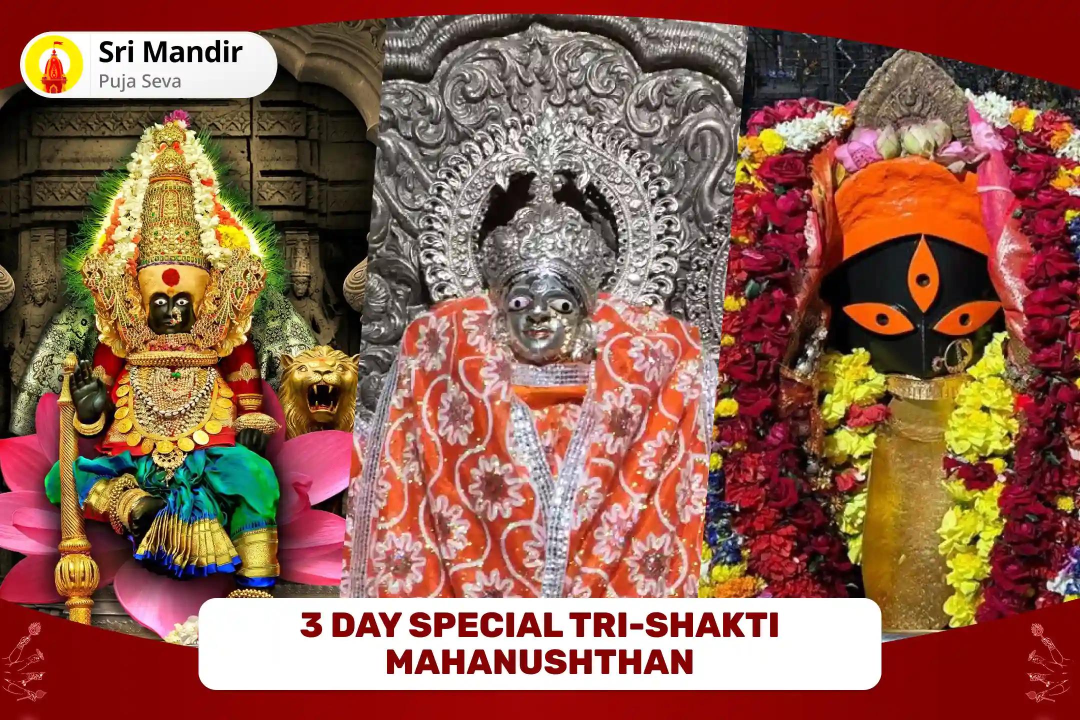 3 Day Special Tri-Shakti Mahanushthan Mahalakshmi 11,000 Mool Mantra Jaap, Maa Kali 11,000 Mool Mantra Jaap, Maha Saraswati 11,000 Mool Mantra Jaap and Dashansh Havan for Protection from Negativity, Abundance of Wealth and Enhanced Wisdom