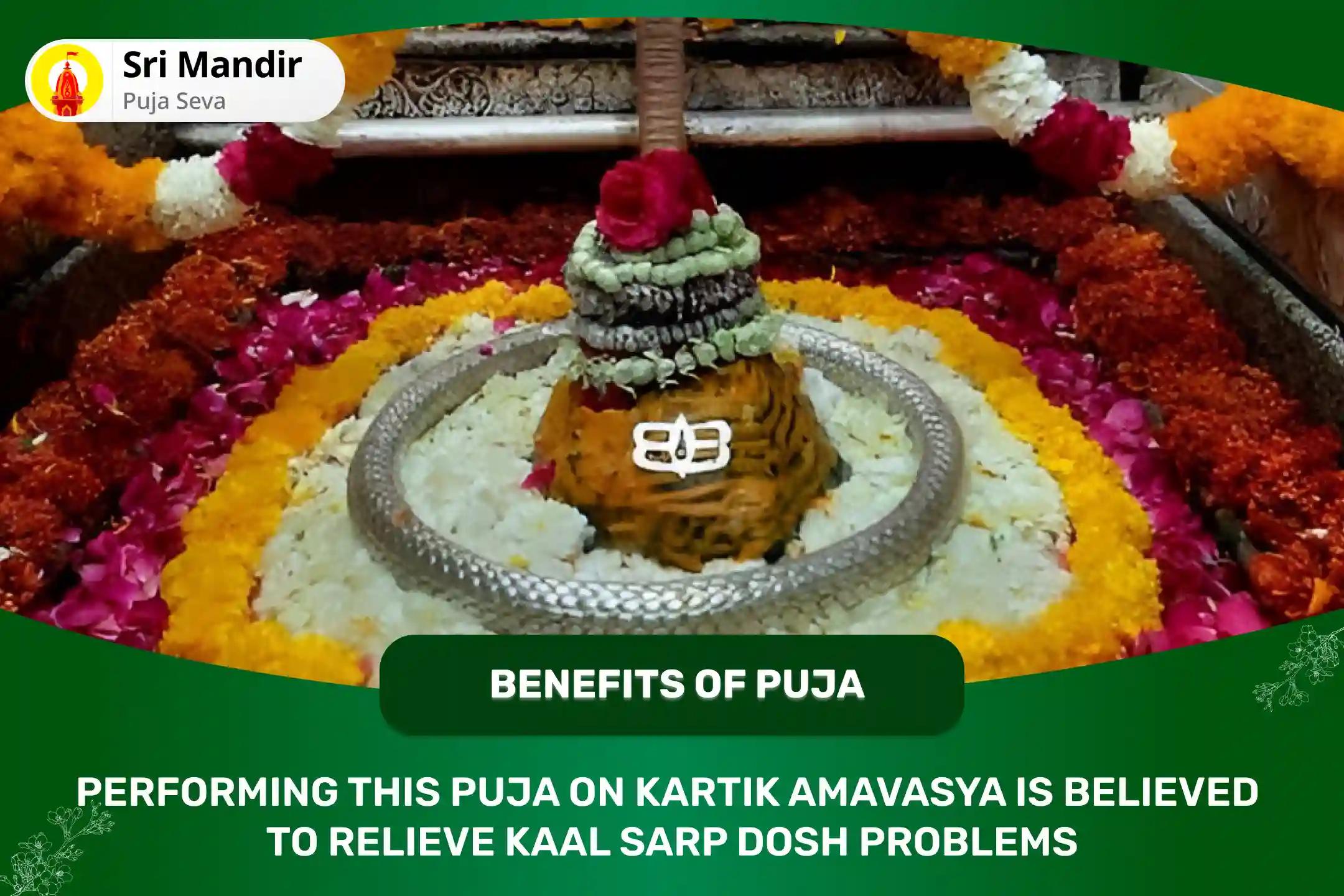 Kartik Amavasya Nakshatra of Rahu Special Kaal Sarp Dosha Shanti Puja For Fearlessness and Achieving Mental Stability 