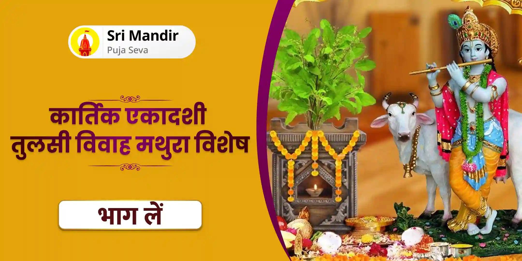 शालिग्राम पंचामृत अभिषेक, तुलसी विवाह पूजा और 11,000 विष्णु द्वादशाक्षरी मंत्र जाप