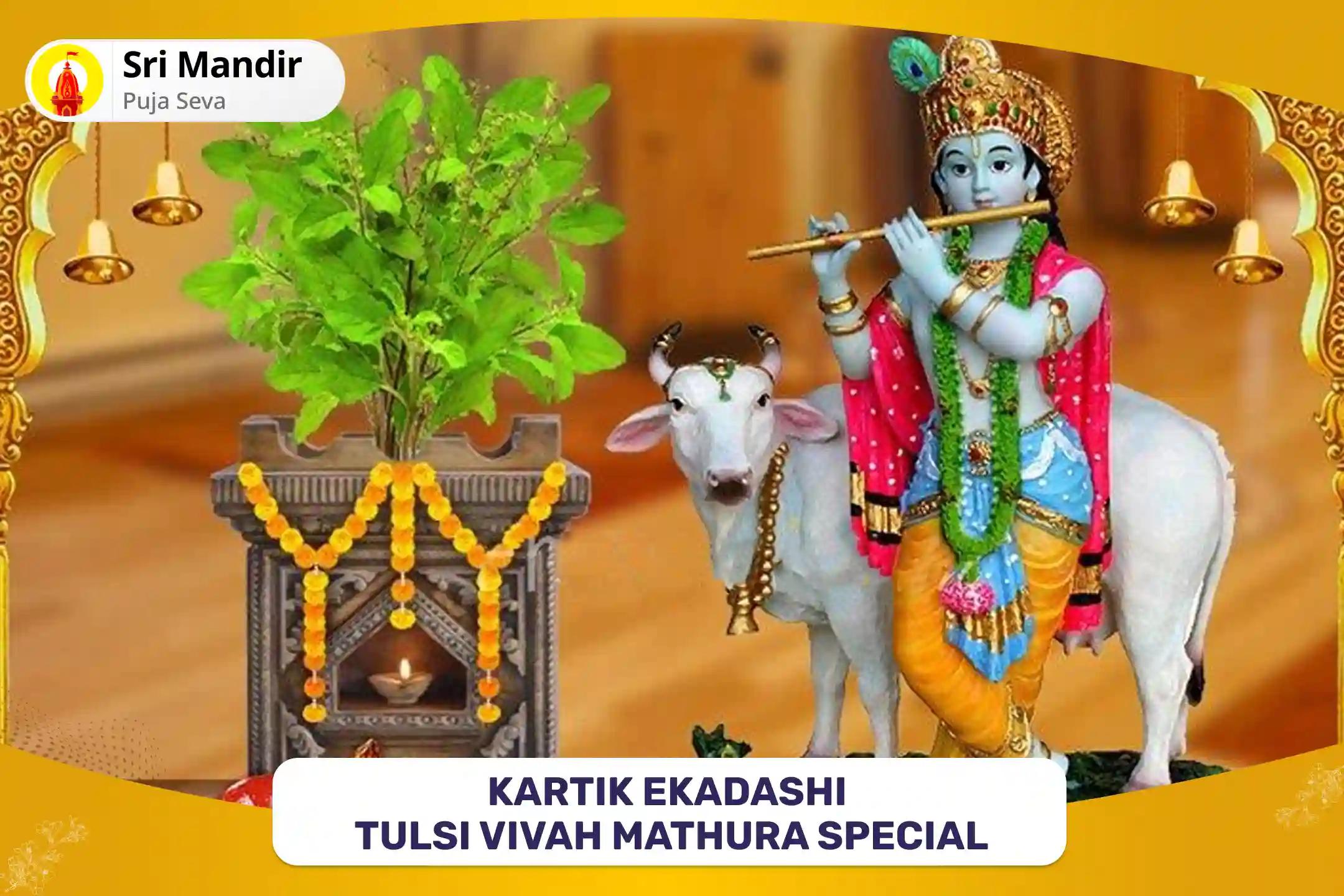 Kartik Ekadashi Tulsi Vivah Mathura Special Shaligram Panchamrit Abhishek, Tulsi Vivah Pujan and 11,000 Vishnu  Dwadasakshari Mantra Jaap for blessings to find Ideal Partner and Relationship Bliss