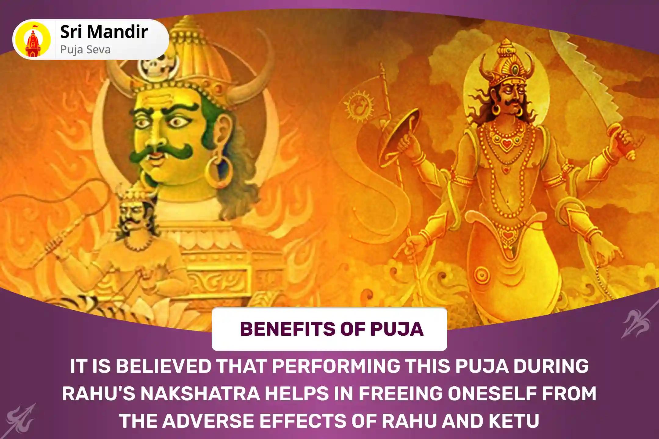 Rahu Paithani Nakshatra of Rahu Special Rahu-Ketu Peeda Shanti Puja and Shiv Rudrabishek for Blessing of Mental clarity and Improved Decision-Making