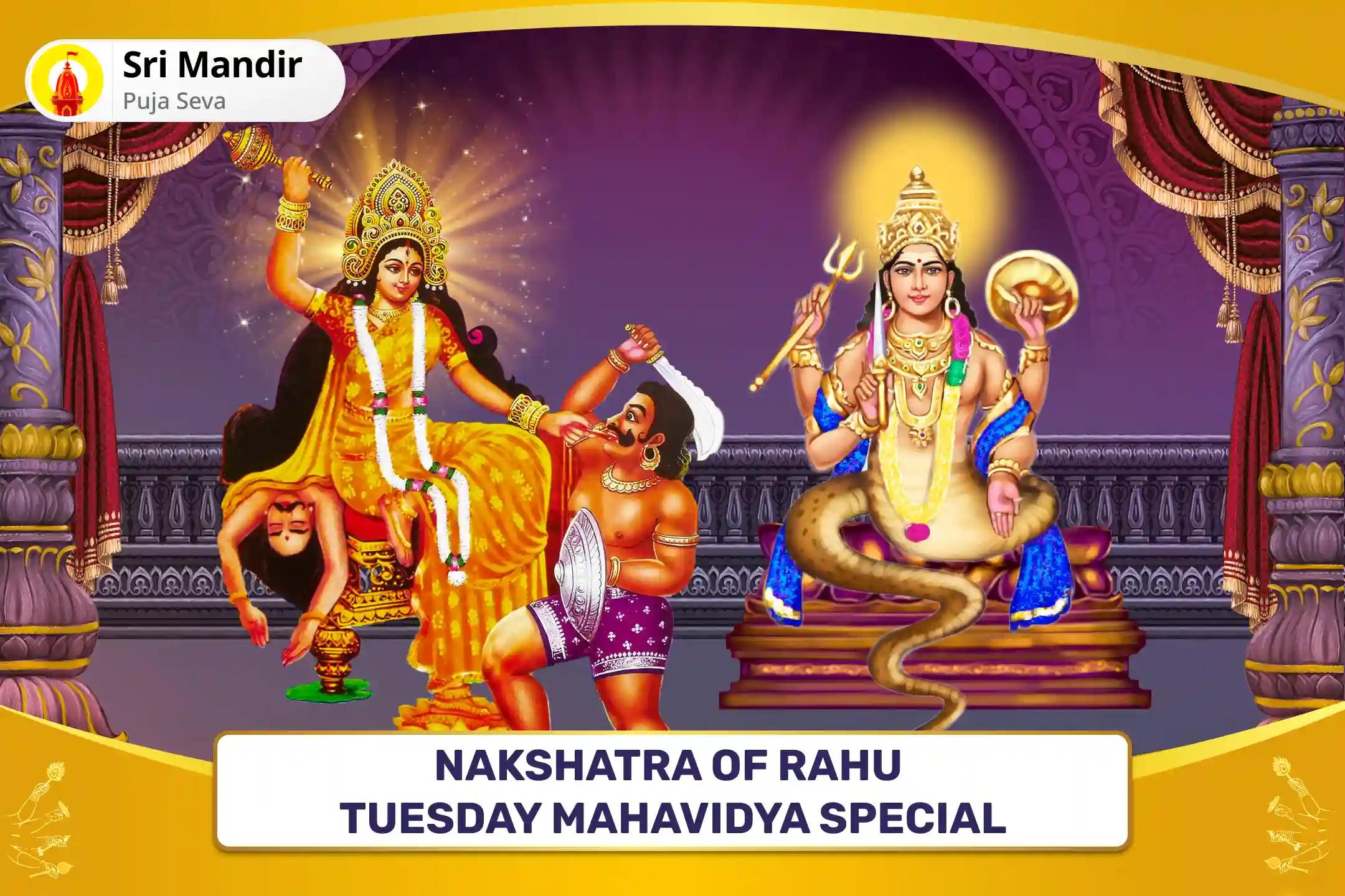 Nakshatra of Rahu Tuesday Mahavidya Special 18,000 Rahu Mool Mantra Jaap and Maa Bagalamukhi Tantra Yukta Puja for Victory in Court Cases and Victory over Enemies