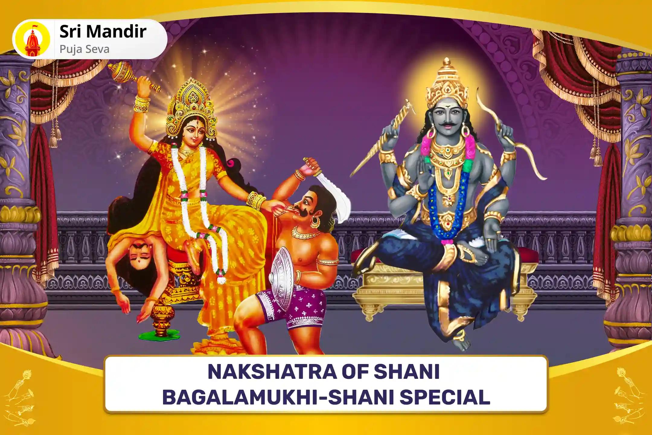 Nakshatra of Shani Bagalamukhi-Shani Special Maa Bagalamukhi Tantra Yukta Havan and Shani Til Tel Abhishek to get Blessing for Victory over Enemies and in Court Cases