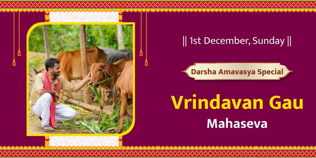 Perform Gau Mahaseva in Vrindavan on Darsha Amavasya to seek Lord Krishna’s blessings!