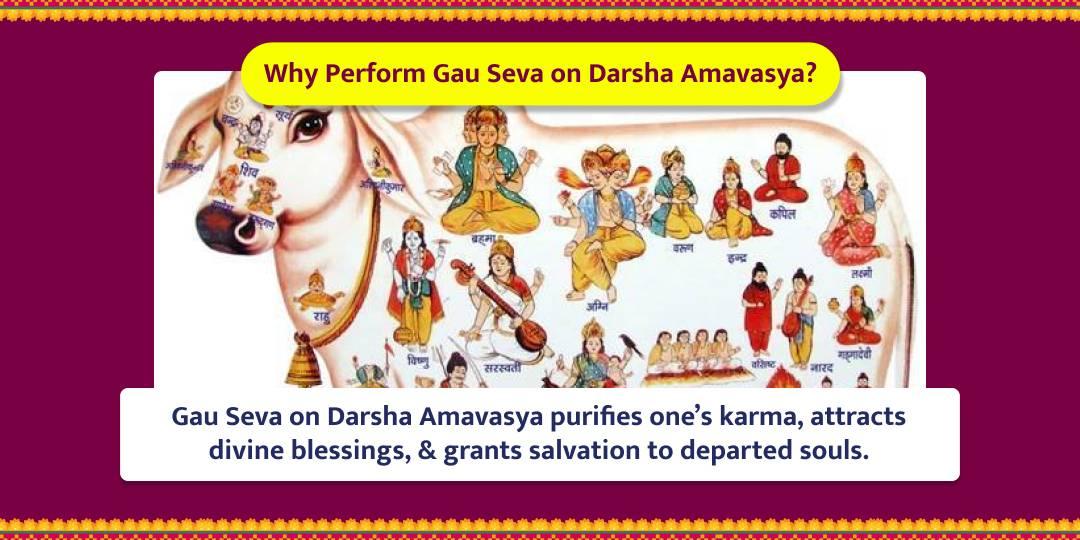 Darsha Amavasya Special Vrindavan Gau Mahaseva