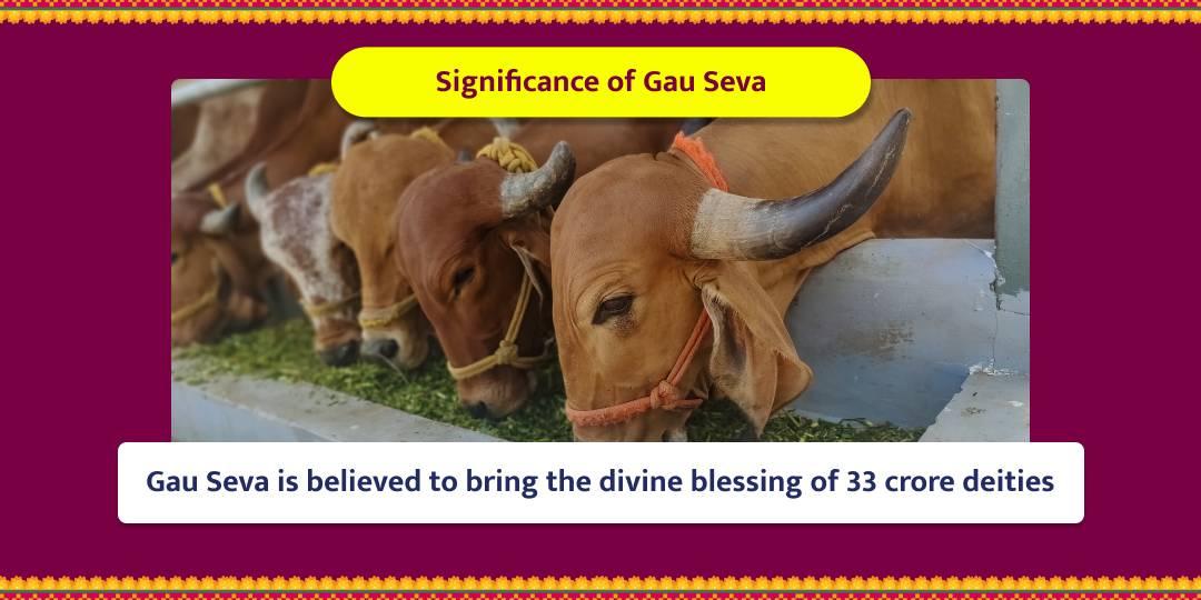 Darsha Amavasya Special Vrindavan Gau Mahaseva