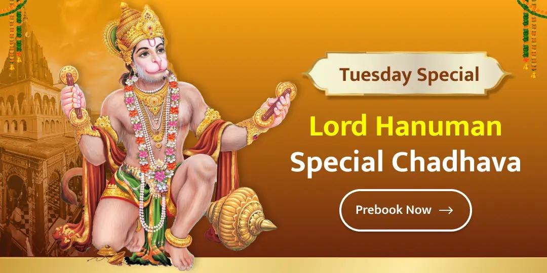 At Shri Hanuman Garhi Temple, Ayodhya, offer Chadhava to Hanuman Ji on the coming Tuesday!