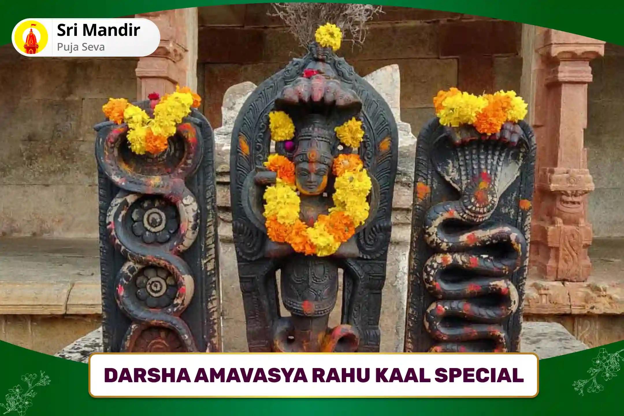 Darsha Amavasya Rahu Kaal Special Kaal Sarp Dosh Shanti Puja for Fearlessness and Achieving Mental Stability