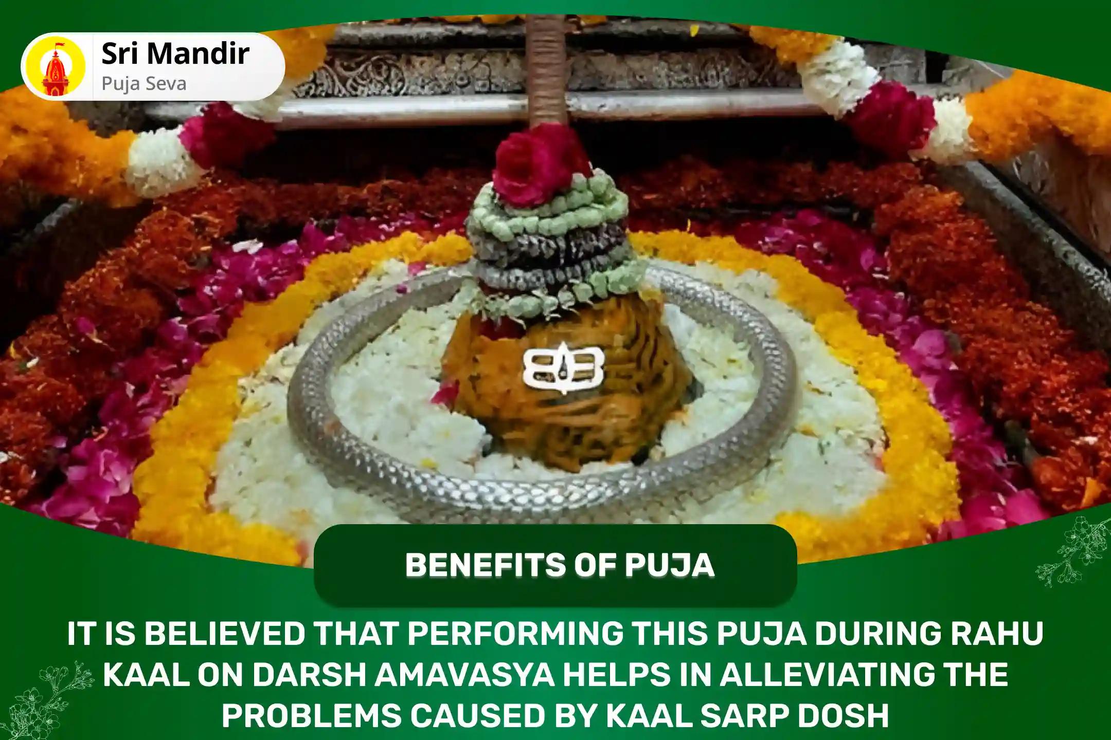 Darsha Amavasya Rahu Kaal Special Kaal Sarp Dosh Shanti Puja for Fearlessness and Achieving Mental Stability