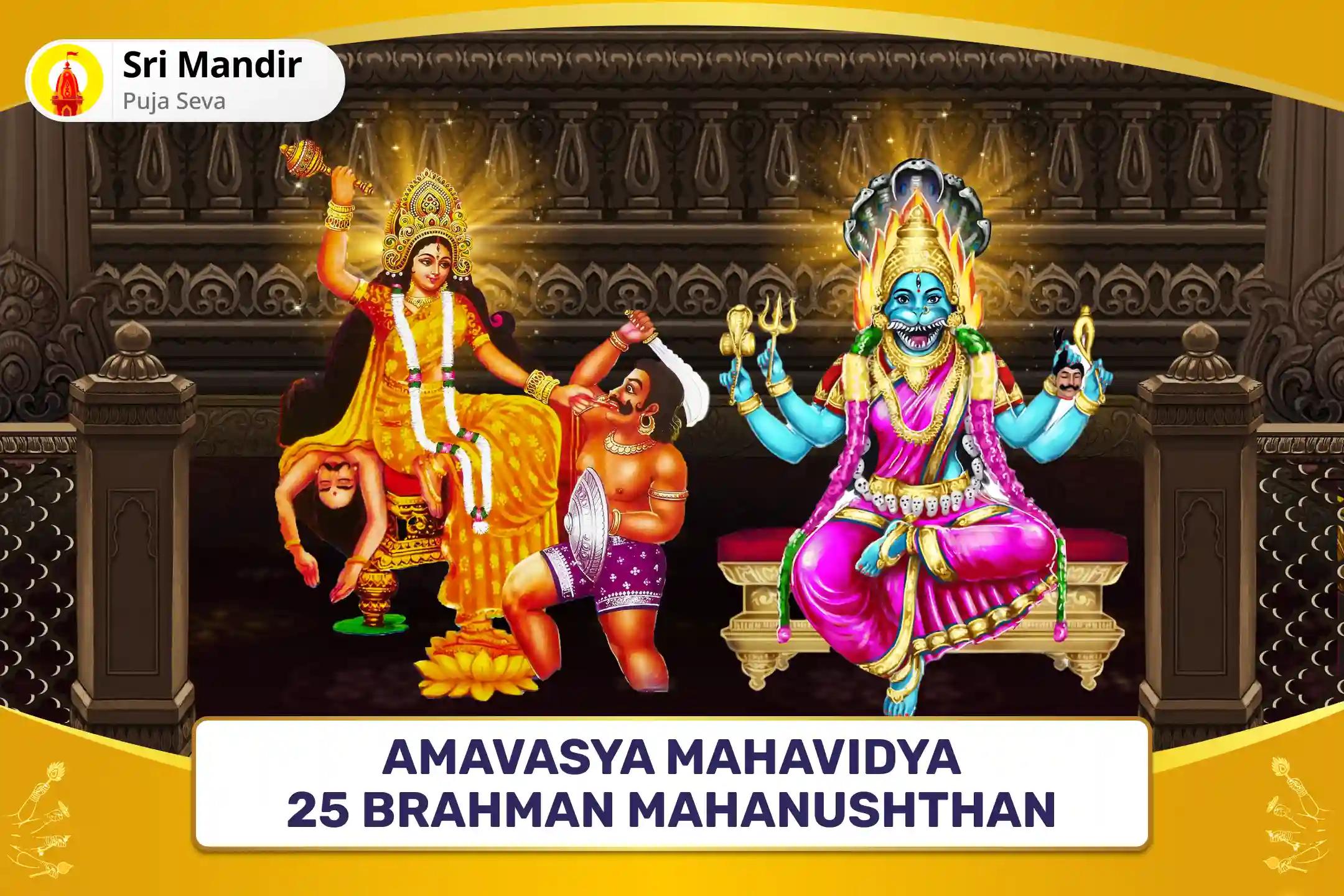 Amavasya Mahavidya 25 Brahman Mahanushthan Bagalamukhi-Pratyangira Kavach Path, 1,25,000 Bagalamukhi Mool Mantra Jaap and Havan for Devi's Protection to Repel Malevolent Energies and Negative Influences