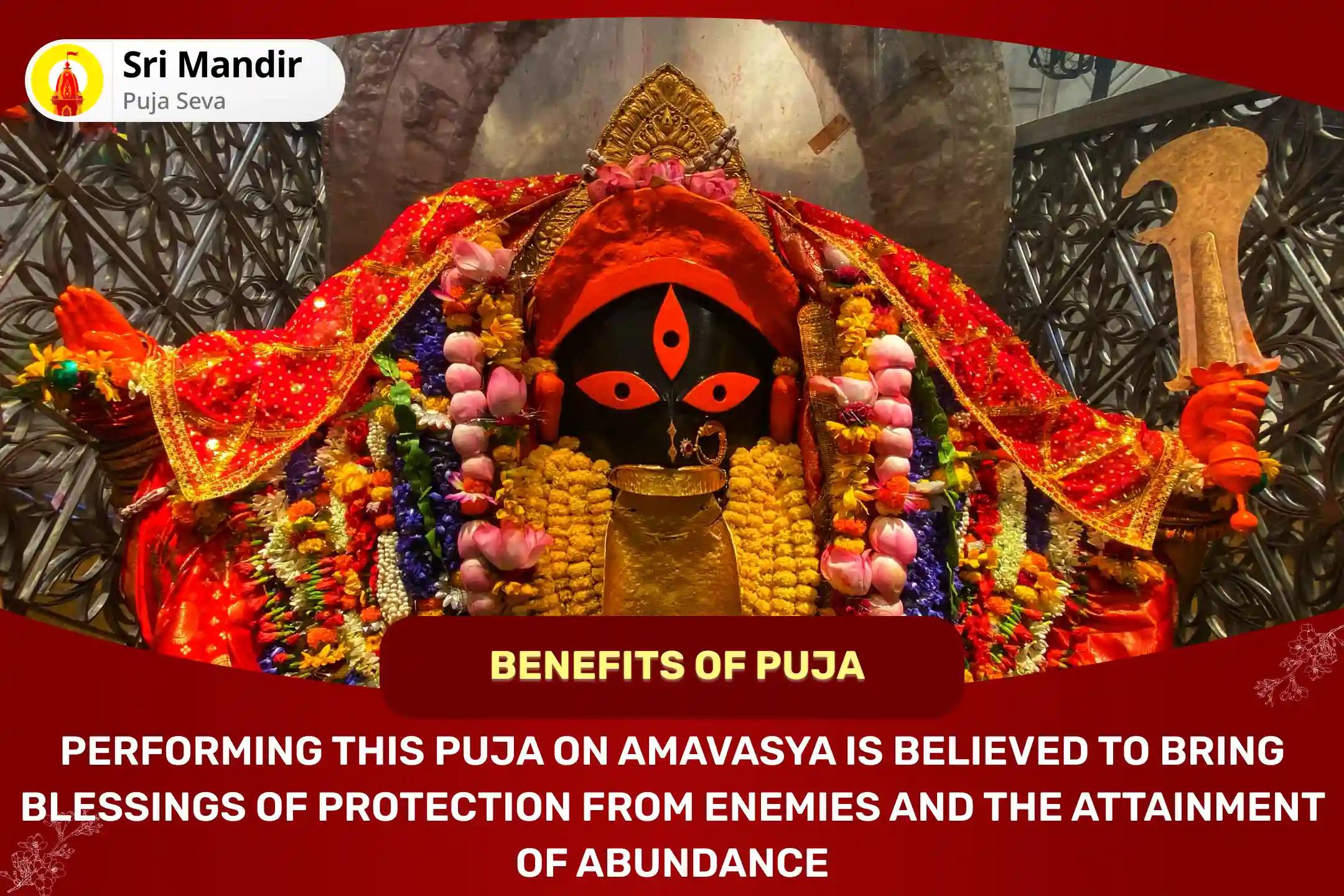 Amavasya Shakti Samriddhi 5 Mahavidya Anushthan Maa Kali, Maa Tara, Maa Shodashi, Maa Bhuvaneshwari and Maa Bagalamukhi Shakti Samriddhi Maha Yagya for Protection from Enemies and Achieving Abundance