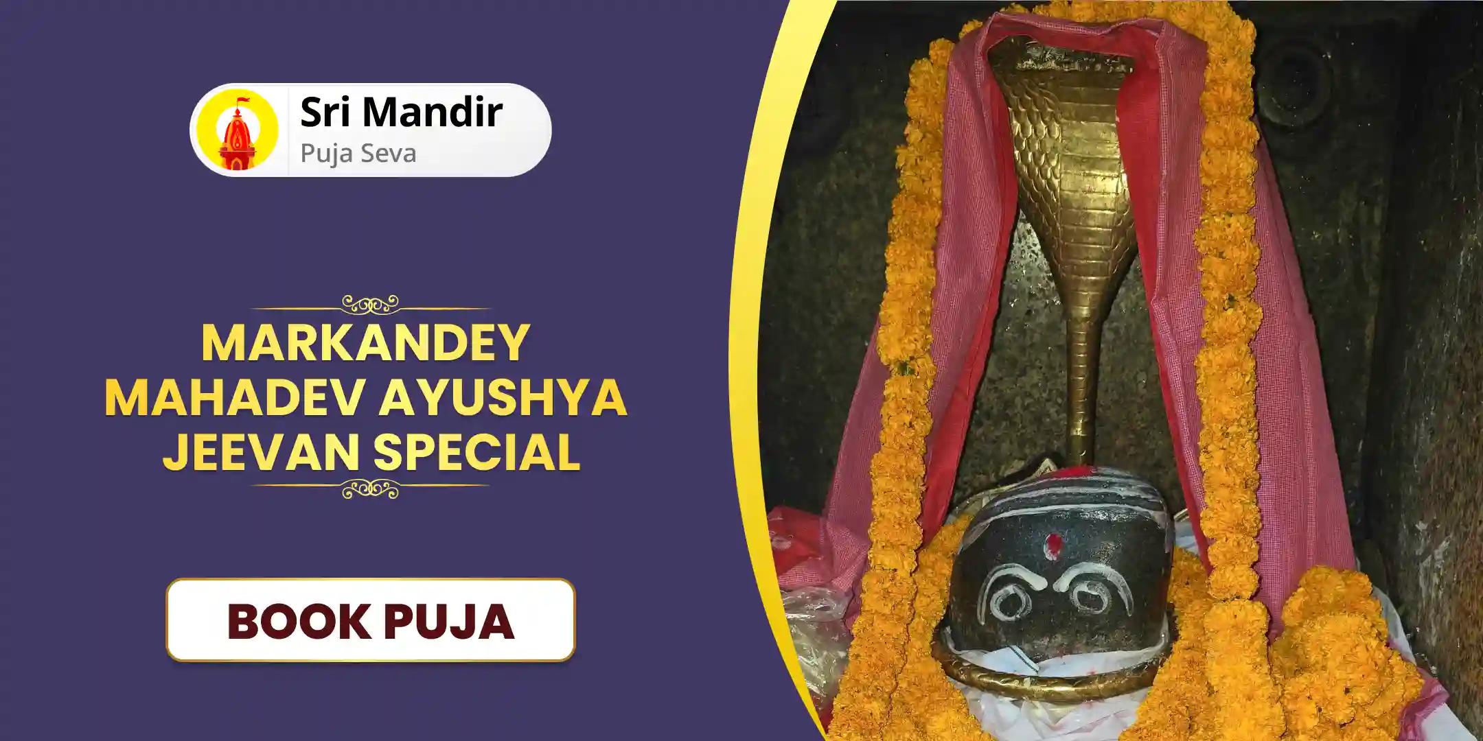 11,000 Mahamrityunjay Mantra Jaap, Yam Dand Mukti Pujan and Ayushya Homa