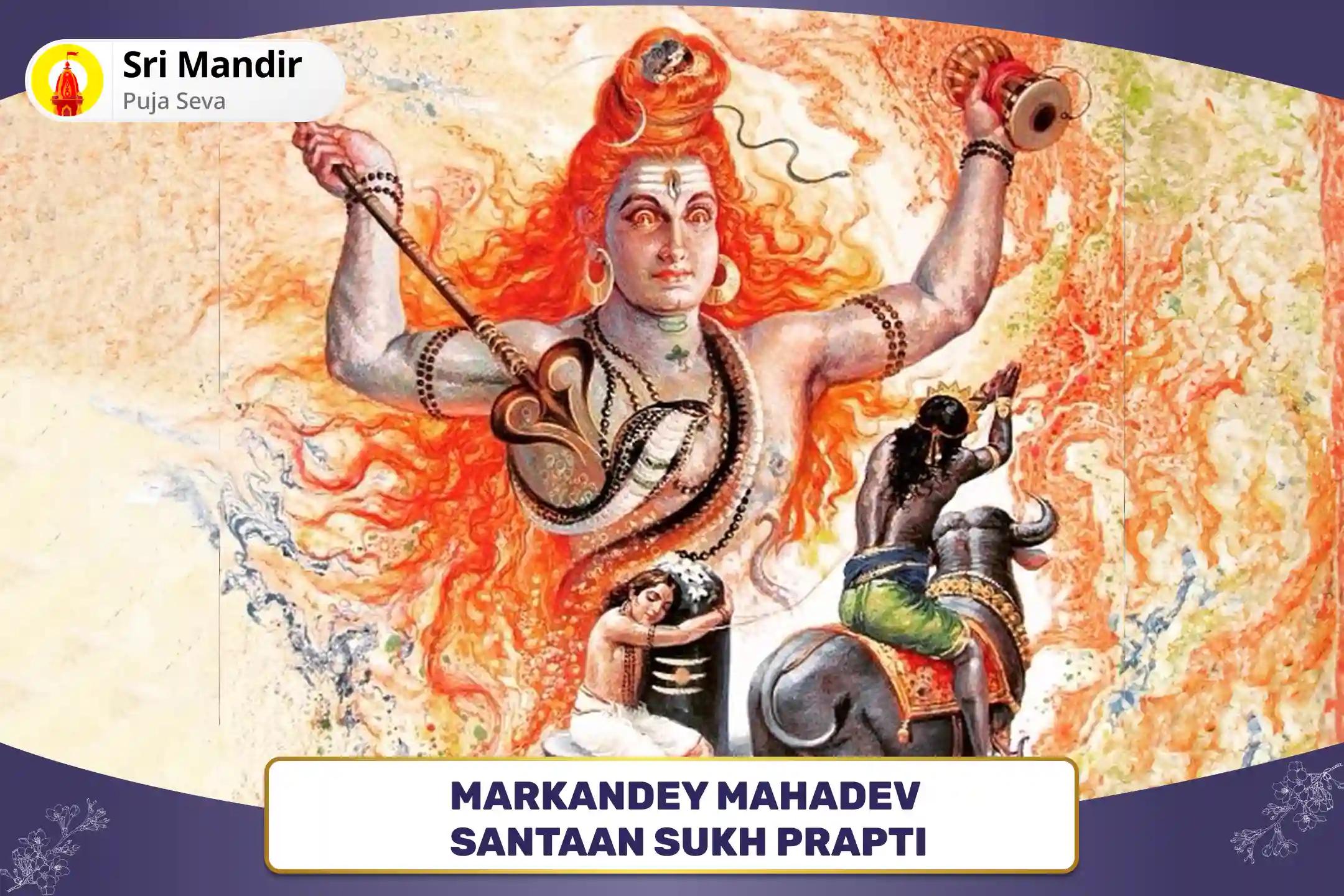 Markandey Mahadev Santaan Sukh Prapti 11,000 Mahamrityunjay Mantra Jaap, Yam Dand Mukti Pujan and Ayushya Havan for Blessing for Prosperity and Well-Being of your Children