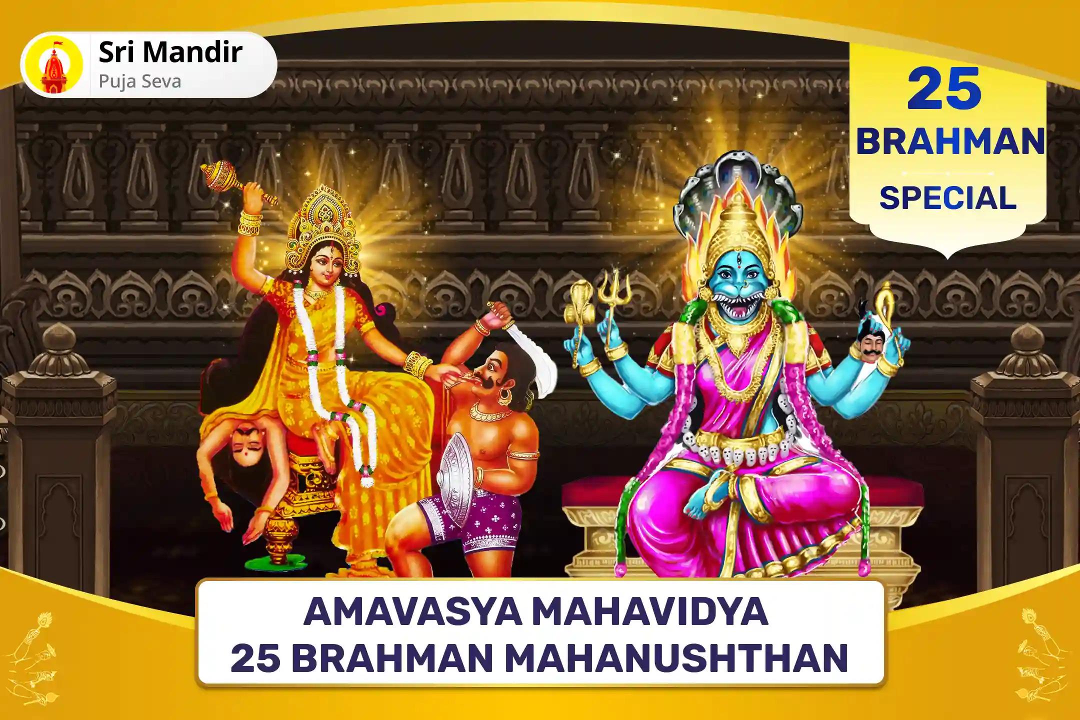 Amavasya Mahavidya 25 Brahman Mahanushthan Bagalamukhi-Pratyangira Kavach Path, 1,25,000 Bagalamukhi Mool Mantra Jaap and Havan for Devi's Protection to Repel Malevolent Energies and Negative Influences