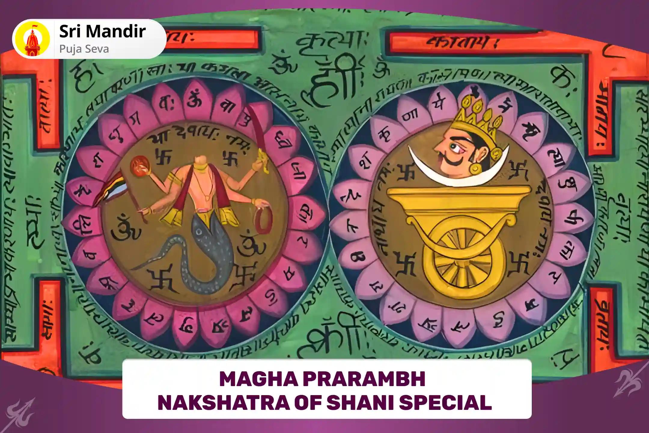 Magha Prarambh Nakshatra of Shani Special Rahu-Ketu Peeda Shanti Puja and Shani Til Tel Abhishek to get Blessing for Mental clarity and Improved Decision-Making