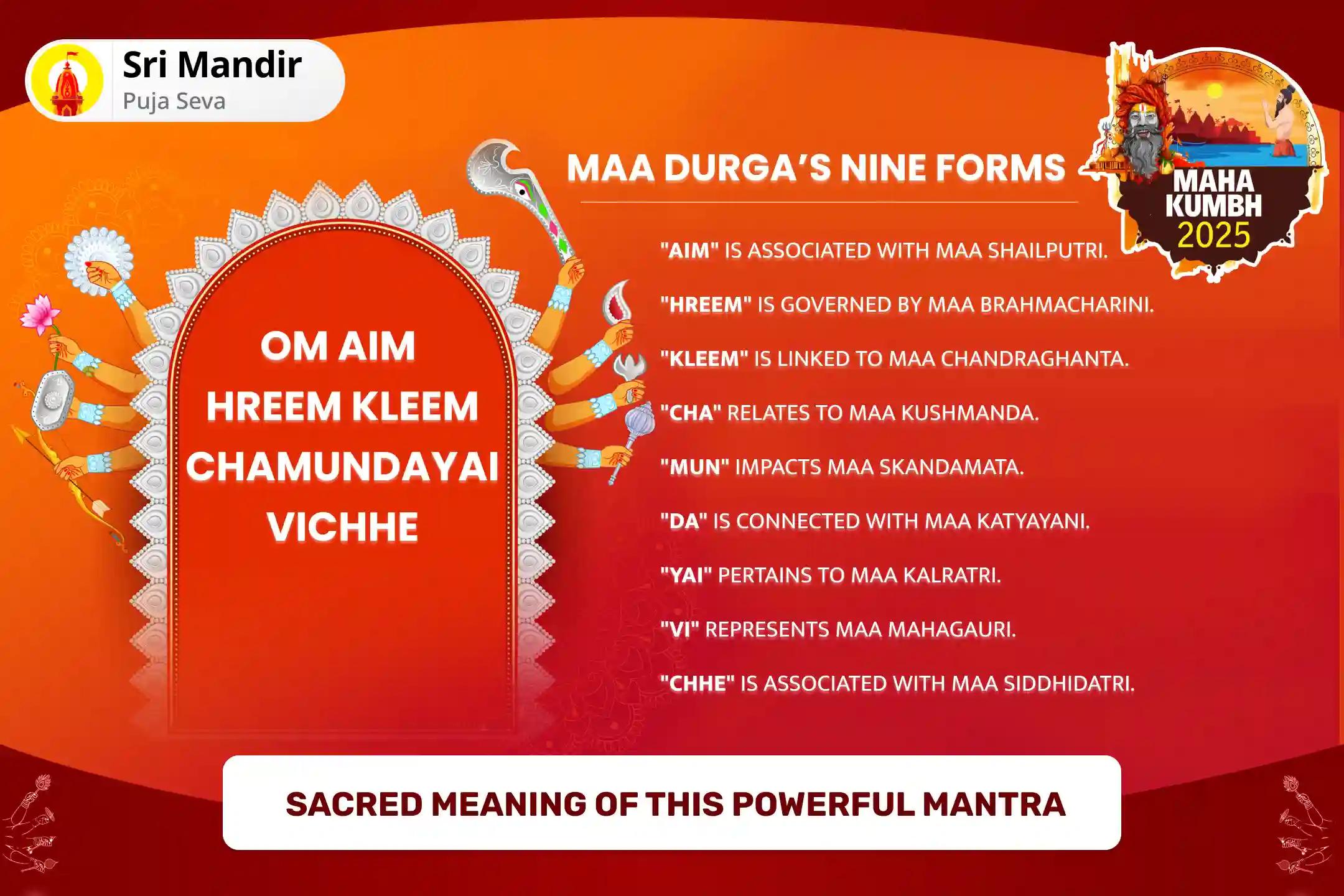 Mahakumbh Month Prayagraj Shaktipeeth Special Durga Shakti Puja and Nav Chandi Havan Blessings for Success and Fulfillment of Desires