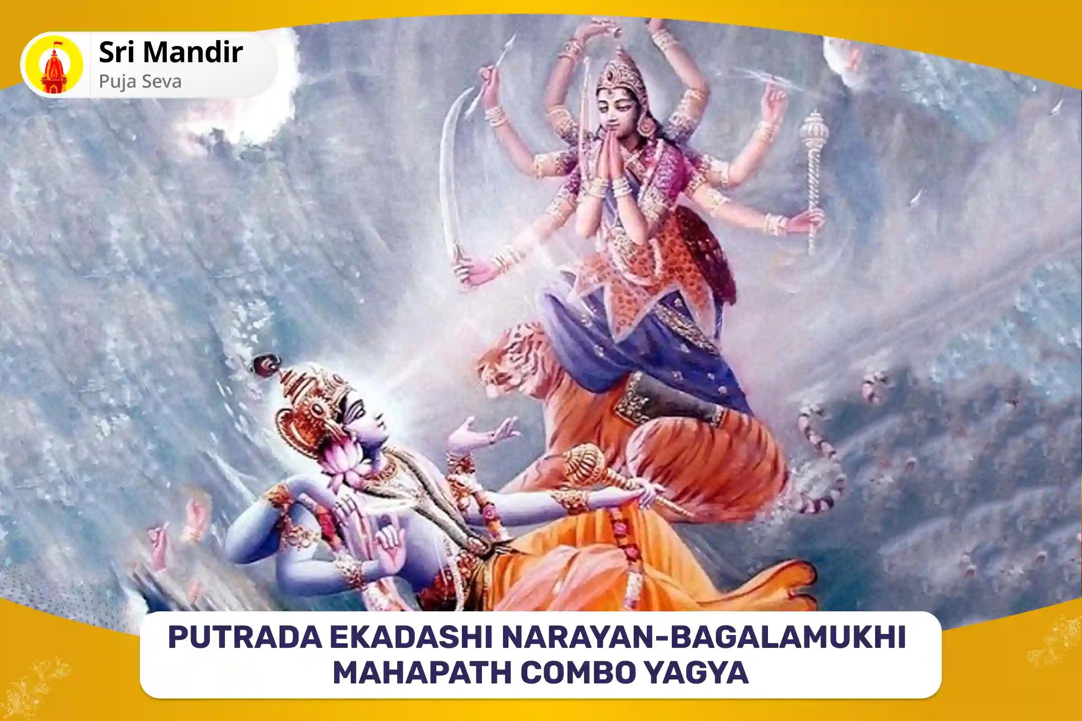 Putrada Ekadashi Narayan-Bagalamukhi Mahapath Combo Yagya 36,000 Maa Bagalamukhi Mantra Jaap and Narayan Sudarshan Kavacham Yagya for Resolving Legal Battles, Ensuring Victory, and Removing Enmity