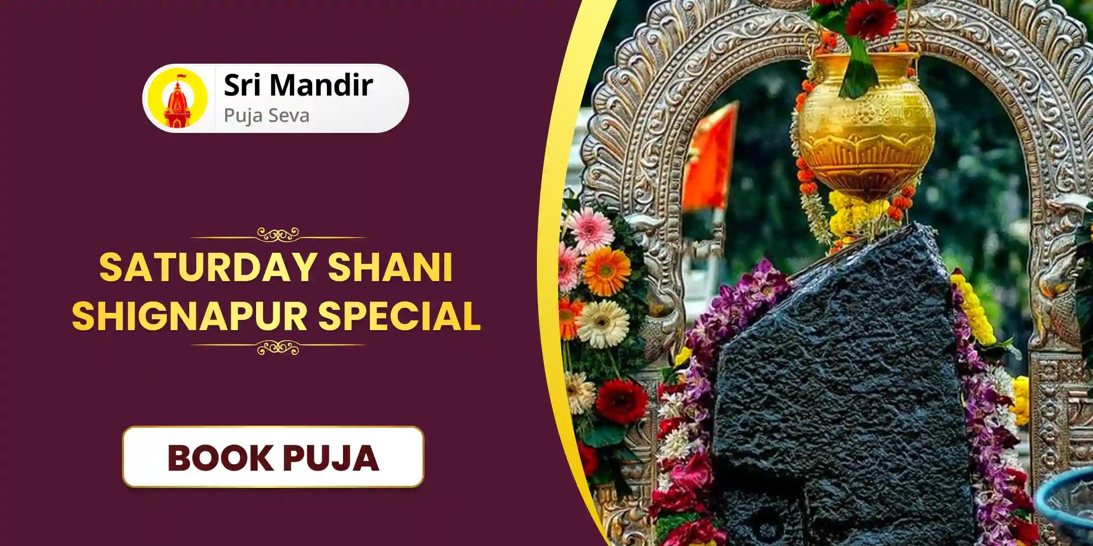 Shani Saade Saati Peeda Shanti Mahapuja, Shani Til Tel Abhishek and Mahadasha Shanti Mahapuja