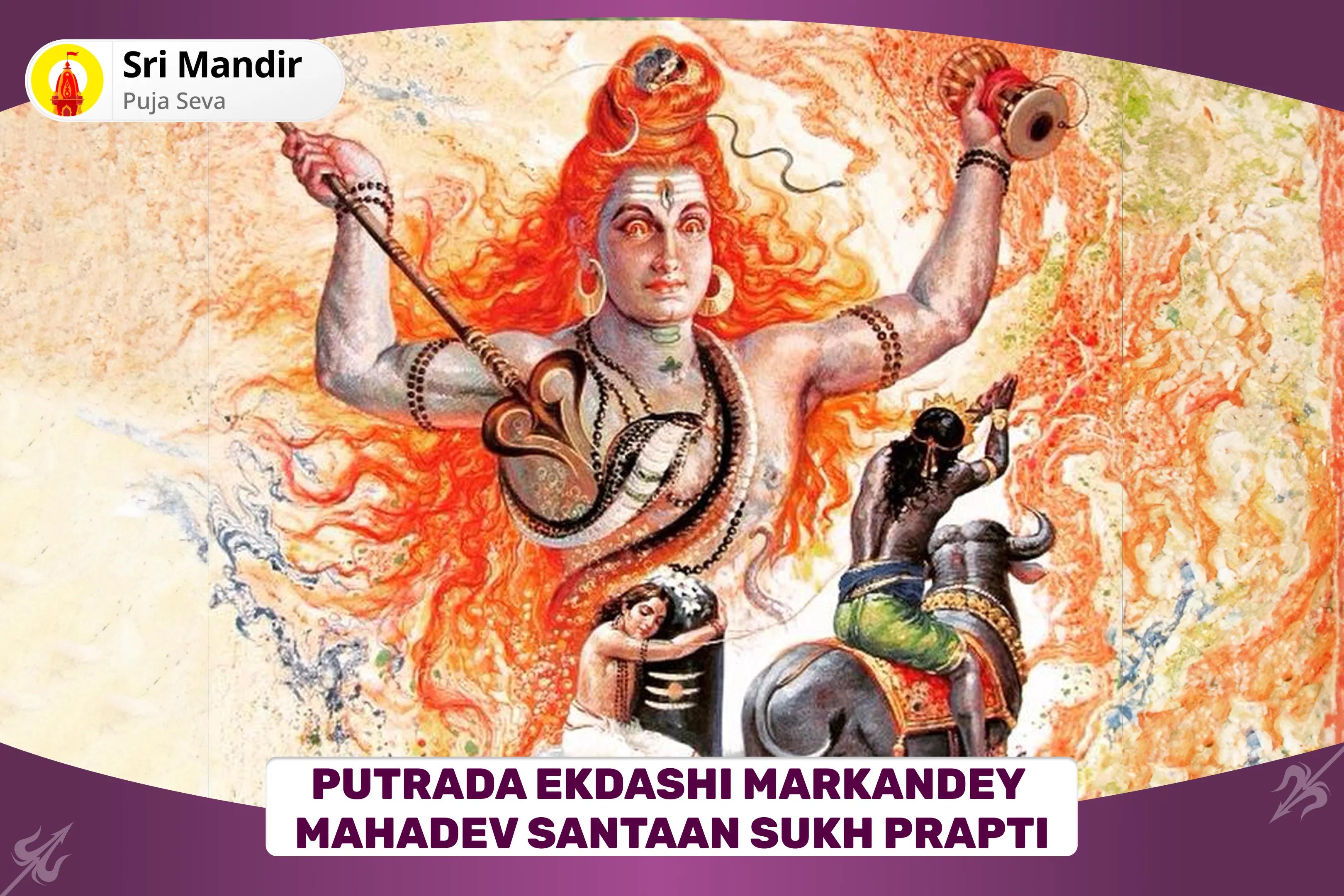 Putrada Ekdashi Markandey Mahadev Santaan Sukh Prapti 11,000 Mahamrityunjay Mantra Jaap, Yam Dand Mukti Pujan and Ayushya Homa for Blessing of Prosperity and Well-Being of your Children