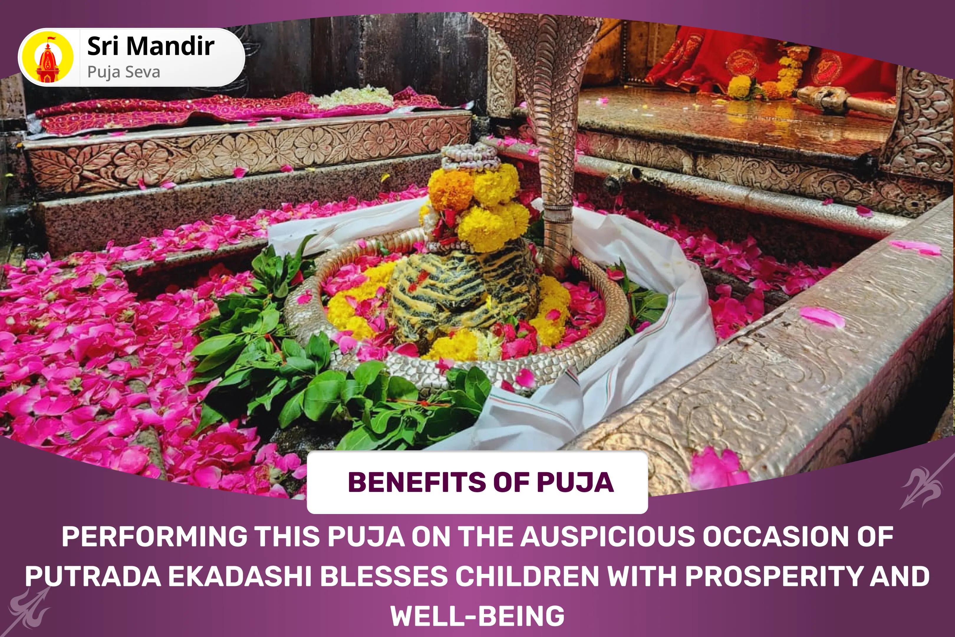 Putrada Ekdashi Markandey Mahadev Santaan Sukh Prapti 11,000 Mahamrityunjay Mantra Jaap, Yam Dand Mukti Pujan and Ayushya Homa for Blessing of Prosperity and Well-Being of your Children