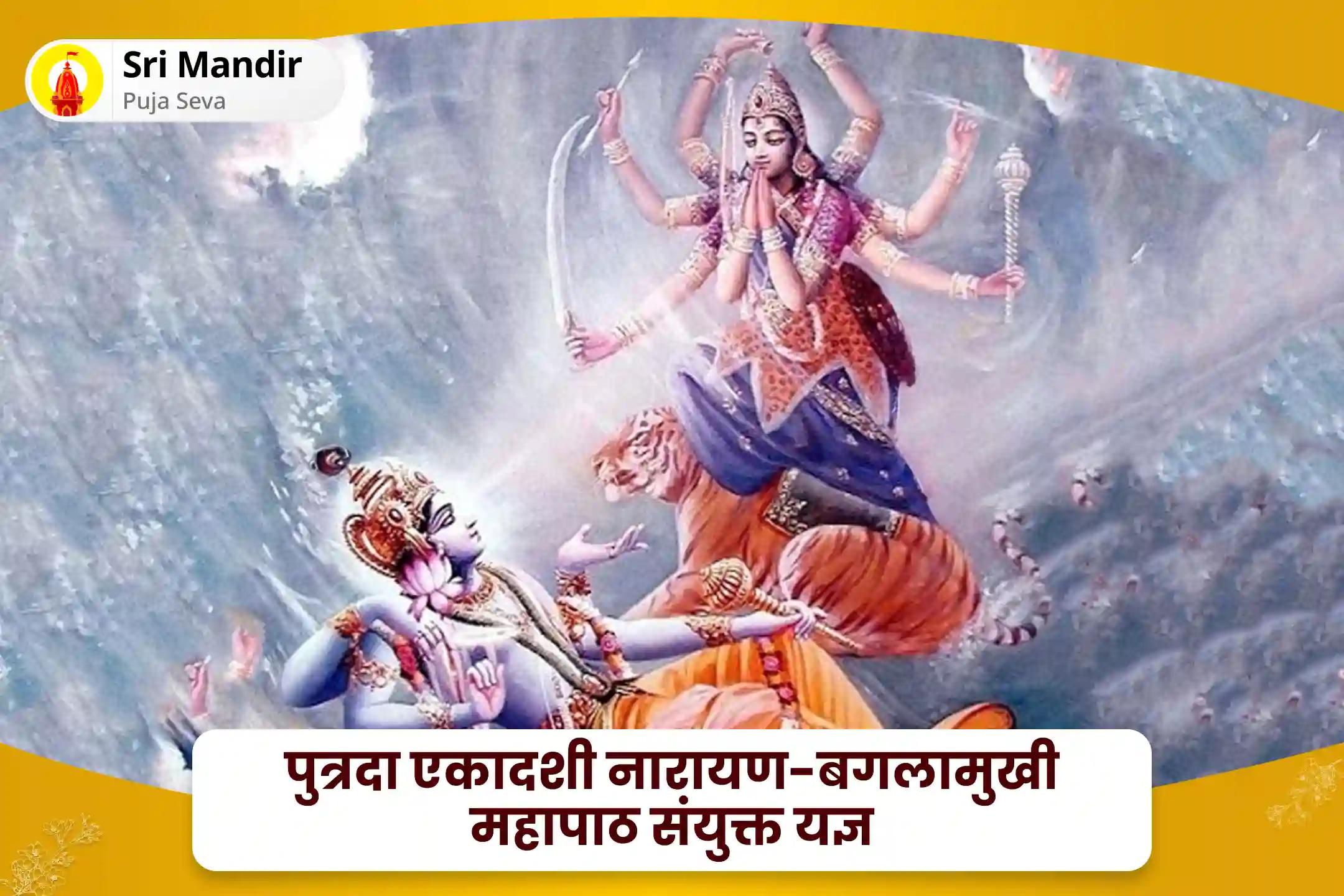 कानूनी विवादों को सुलझाने, जीत सुनिश्चित करने और दुश्मनी दूर करने के लिए पुत्रदा एकादशी नारायण-बगलामुखी महापाठ संयुक्त यज्ञ 36,000 माँ बगलामुखी मंत्र जाप एवं नारायण सुदर्शन कवचम् यज्ञ