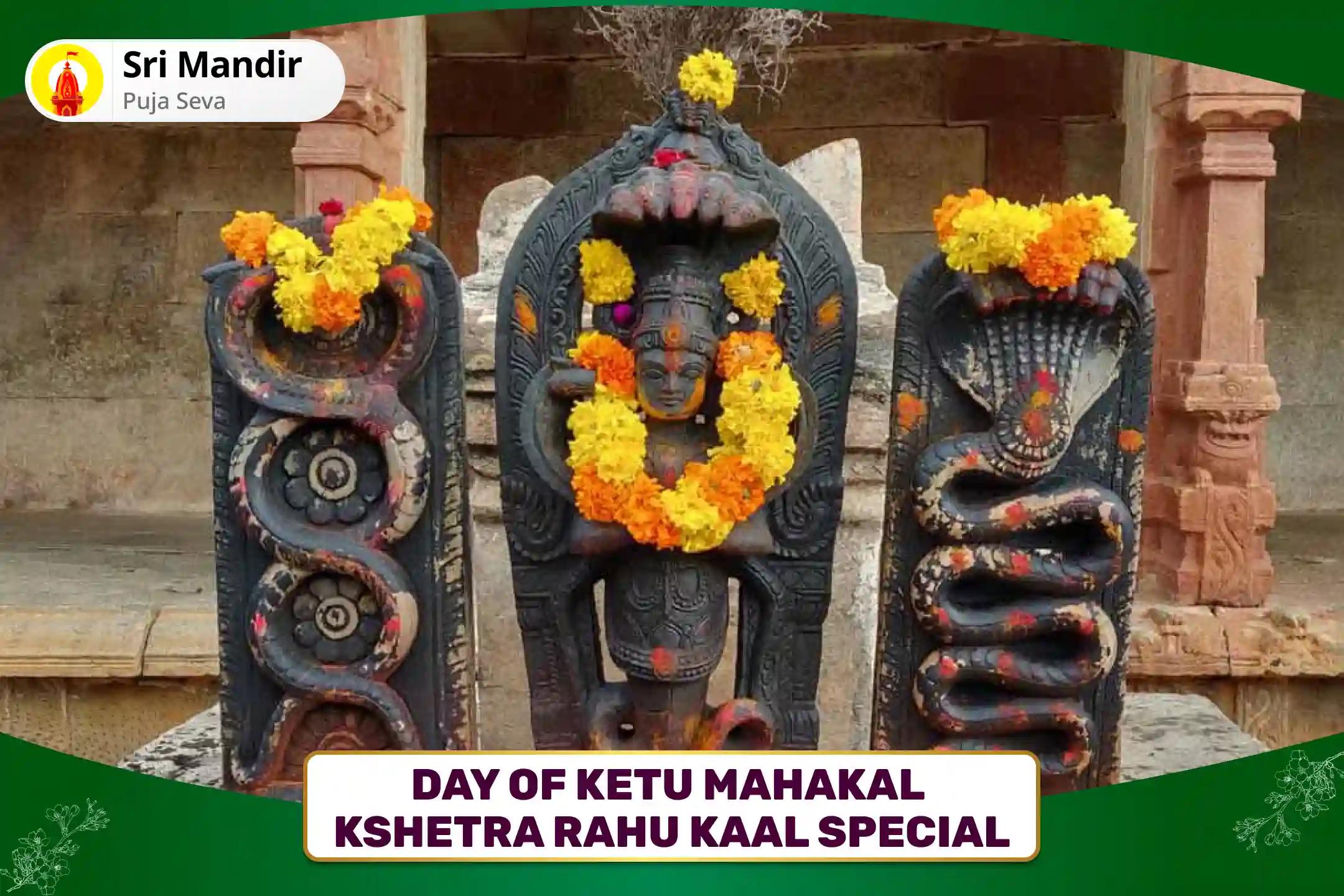 Day of Ketu Rahu Paithani Special Kaal Sarp Dosh Shanti Puja and Shiv Rudrabhishek for Fearlessness and Achieving Mental Stability