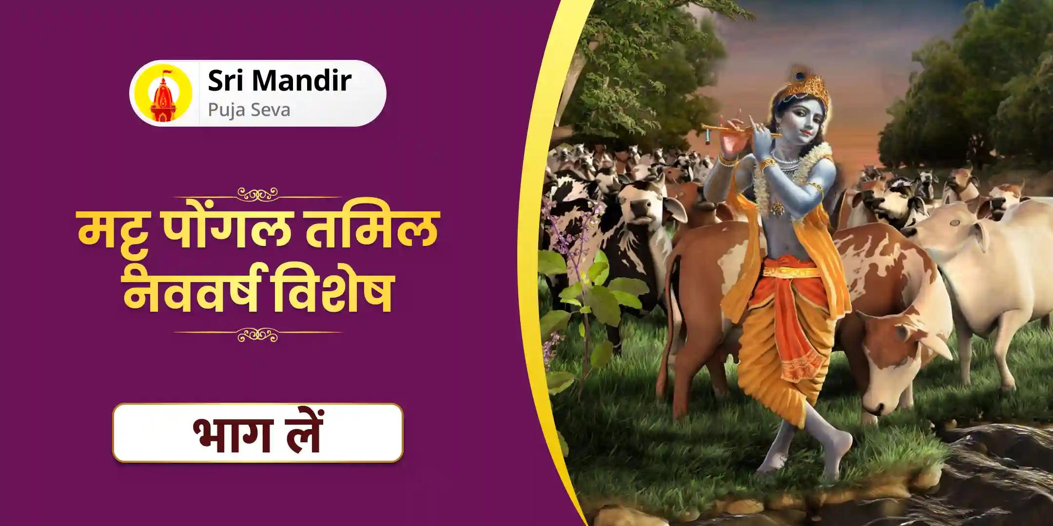 गौ पूजन और सेवा, कृष्ण तुलसी पुष्पांजलि और मट्टू पोंगल हवन