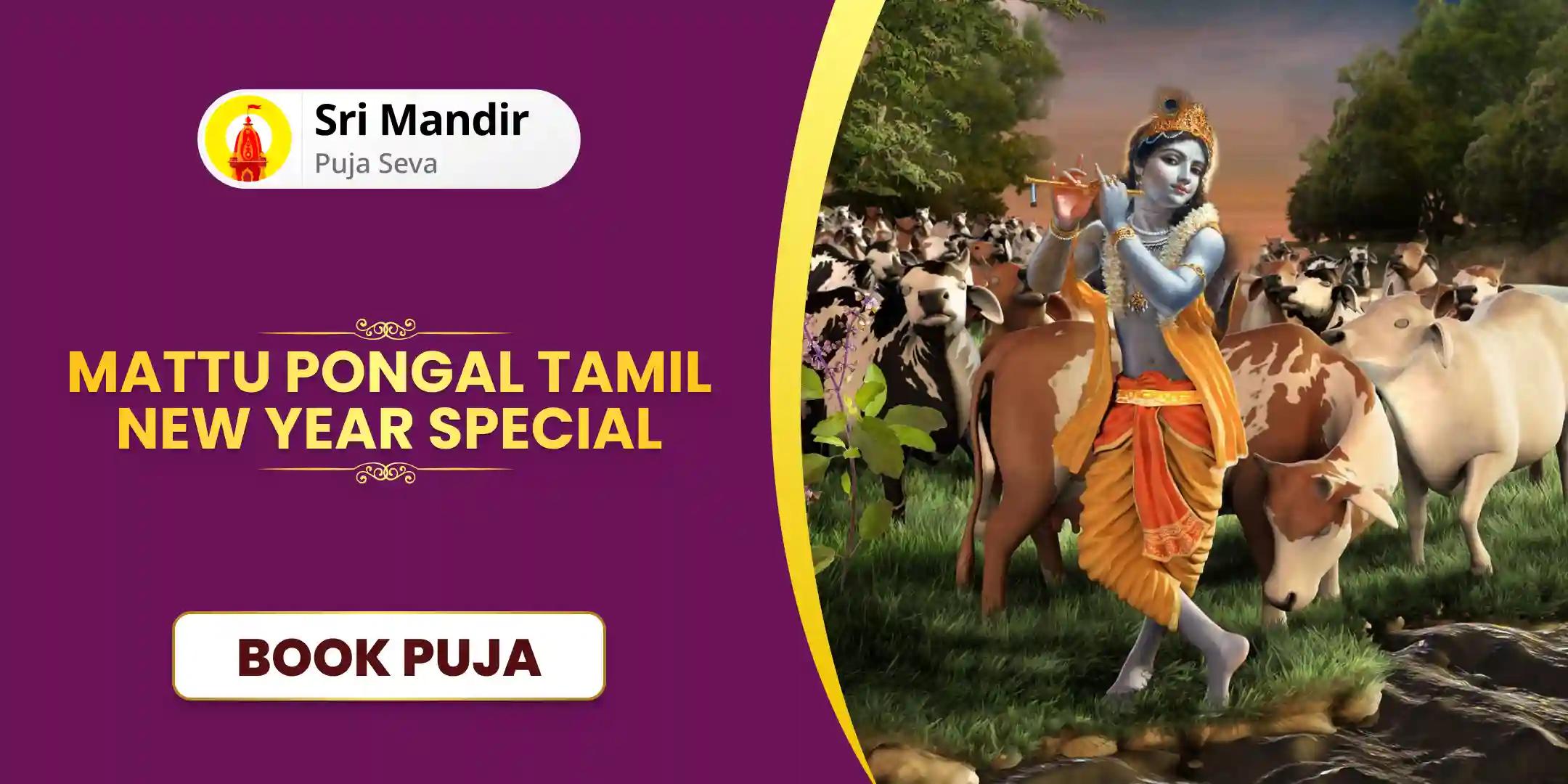 Gau Pujan and Seva, Krishna Tulsi Pushpanjali and Mattu Pongal Homa