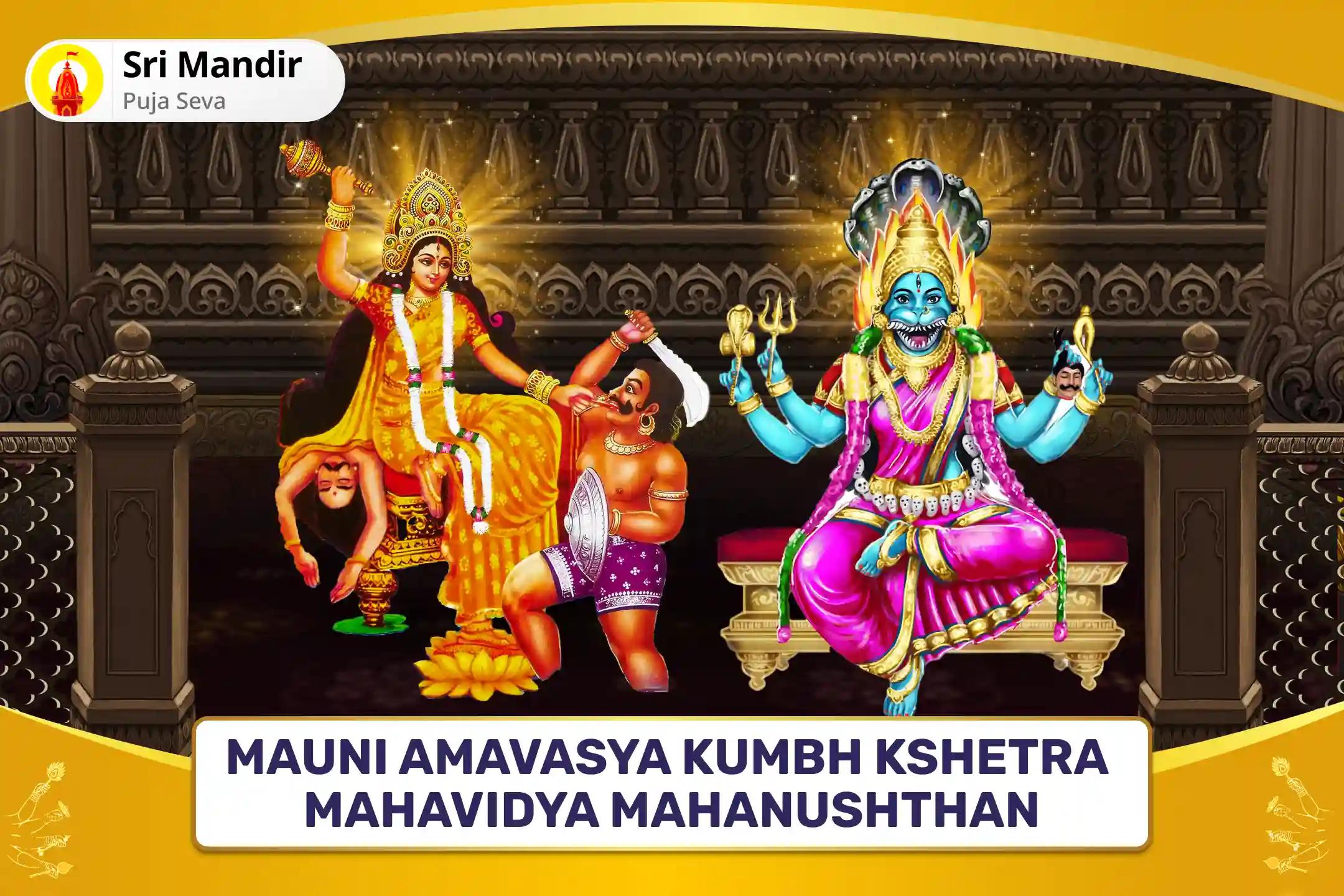 Mauni Amavasya Kumbh Kshetra Mahavidya Mahanushthan Bagalamukhi-Pratyangira Kavach Path, 1,25,000 Bagalamukhi Mool Mantra Jaap and Havan for Devi's Protection to Repel Malevolent Energies and Negative Influences