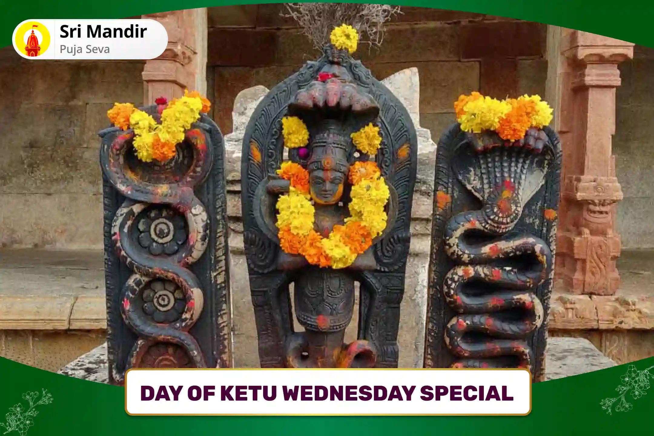 Day of Ketu Wednesday Special Kaal Sarp Dosh Shanti Puja and Shiv Rudrabhishek For Fearlessness and Achieving Mental Stability